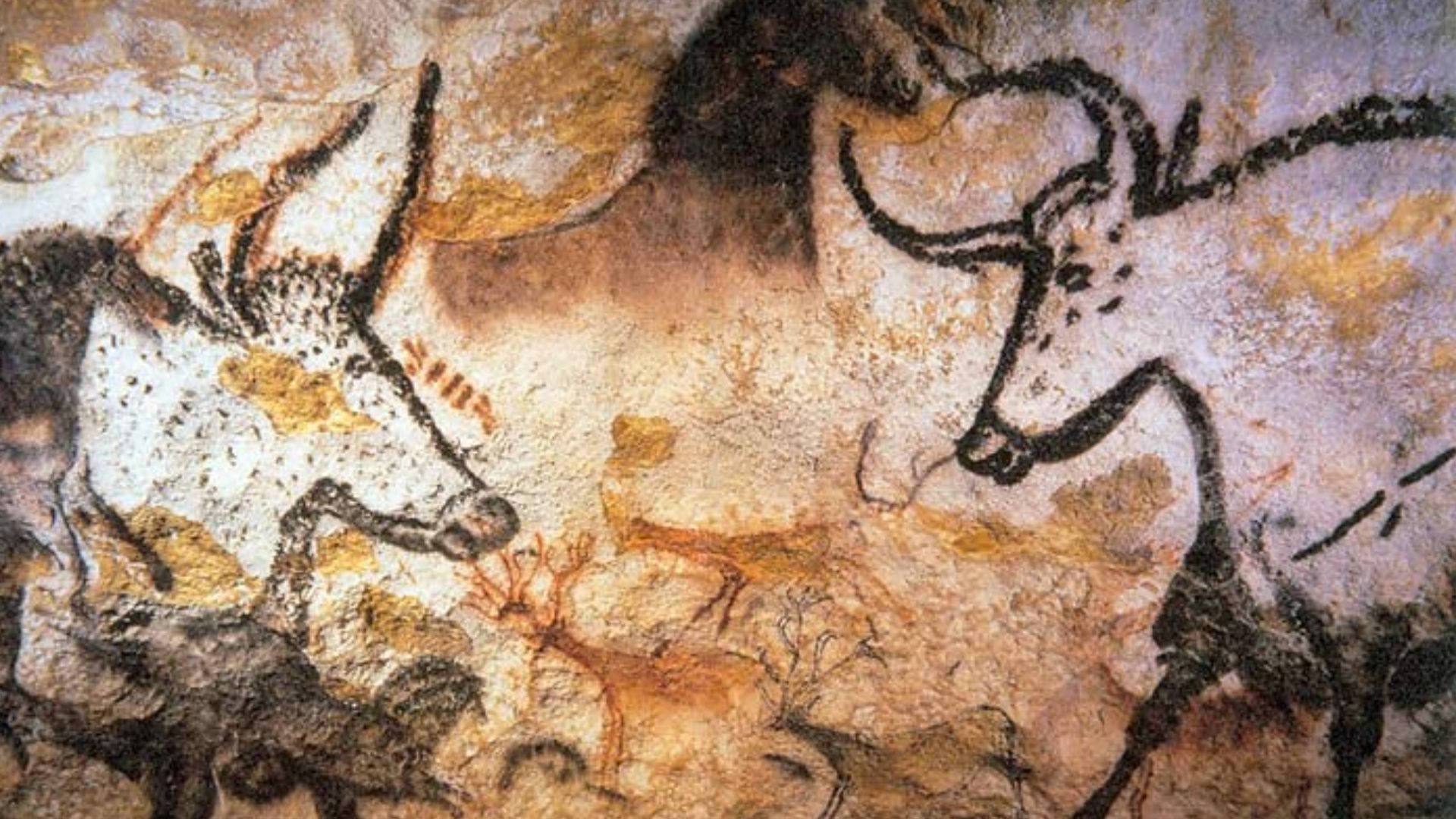 File:Lascaux painting.jpg