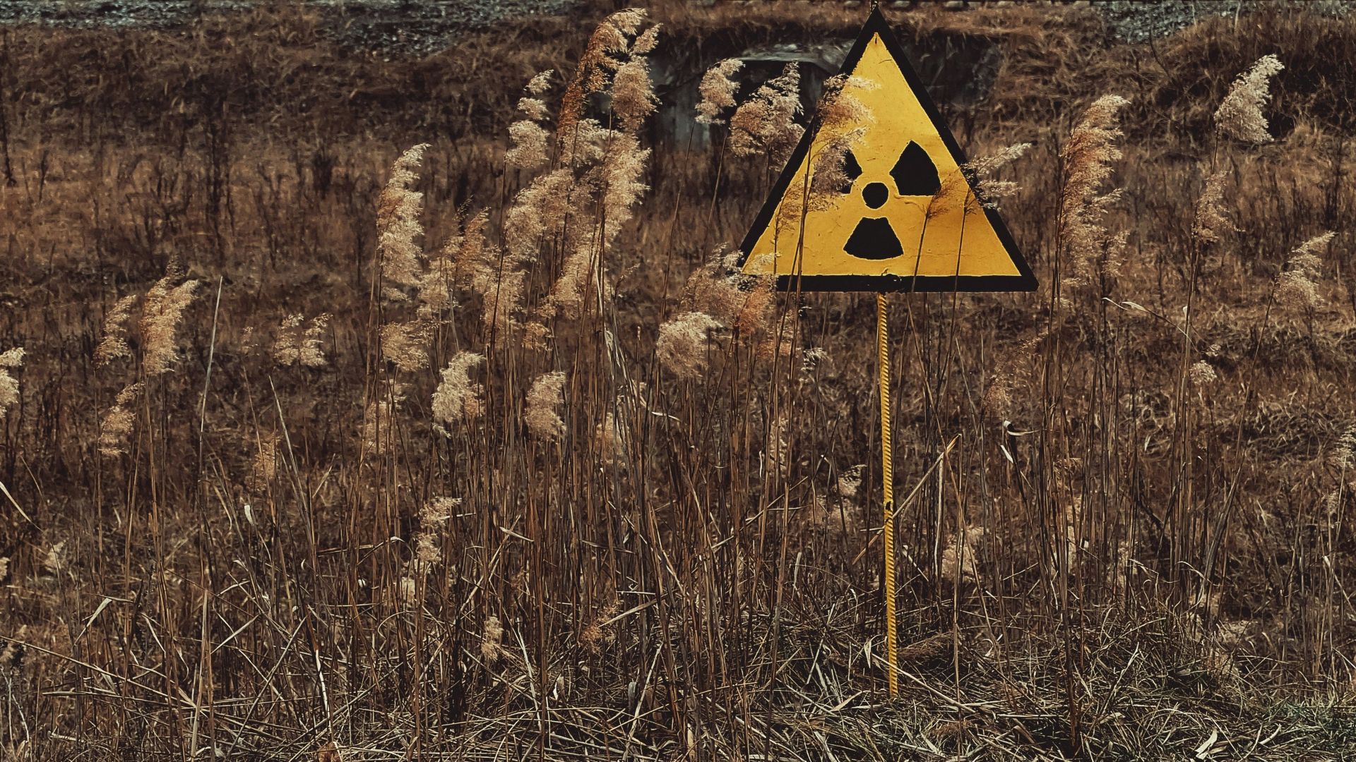 yellow and black house on brown grass field