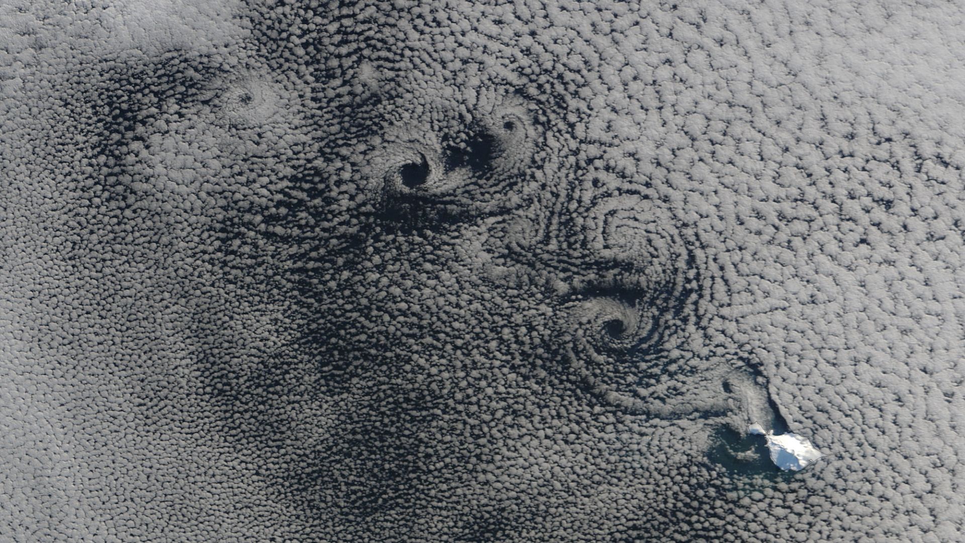 File:Heard Island 2005-08.jpg