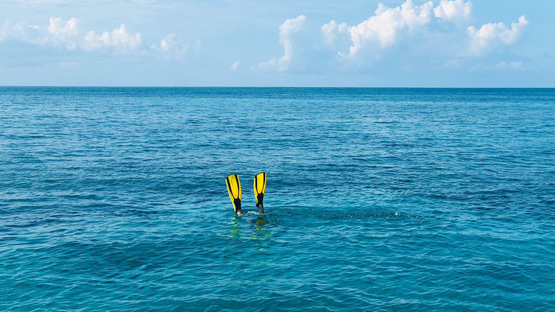 person diving on sea with yellow flippers