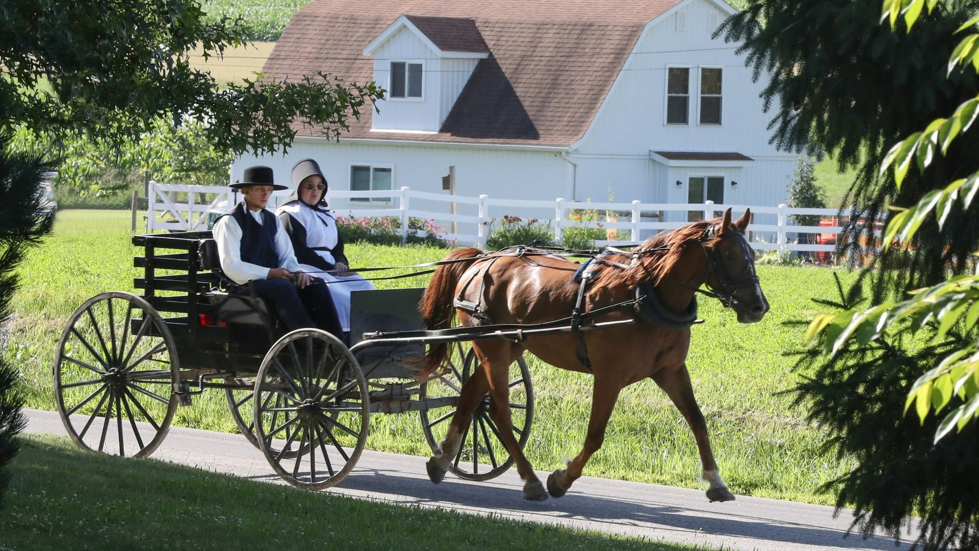 man and woman riding horse carriage