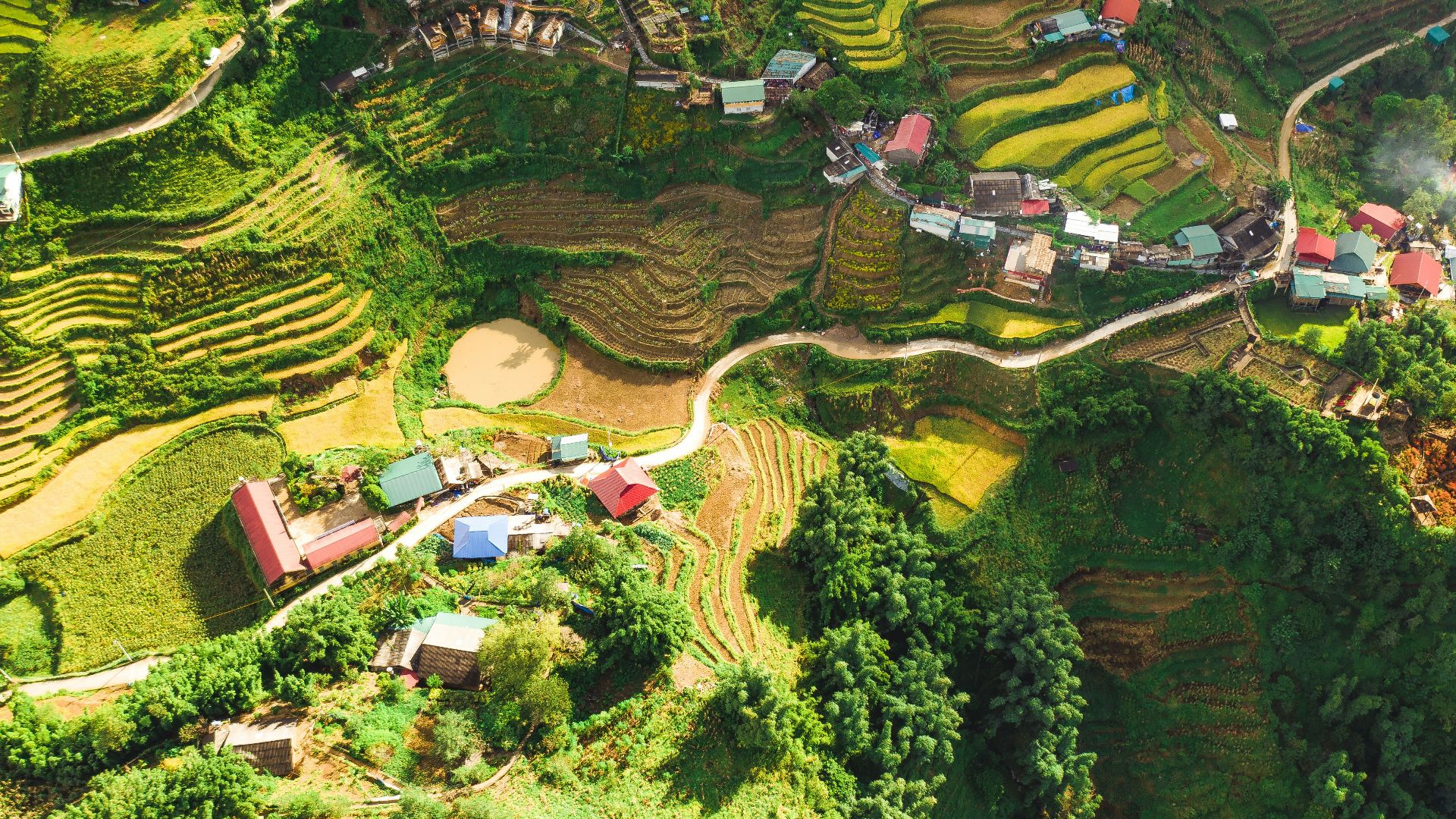 aerial view of city at daytime