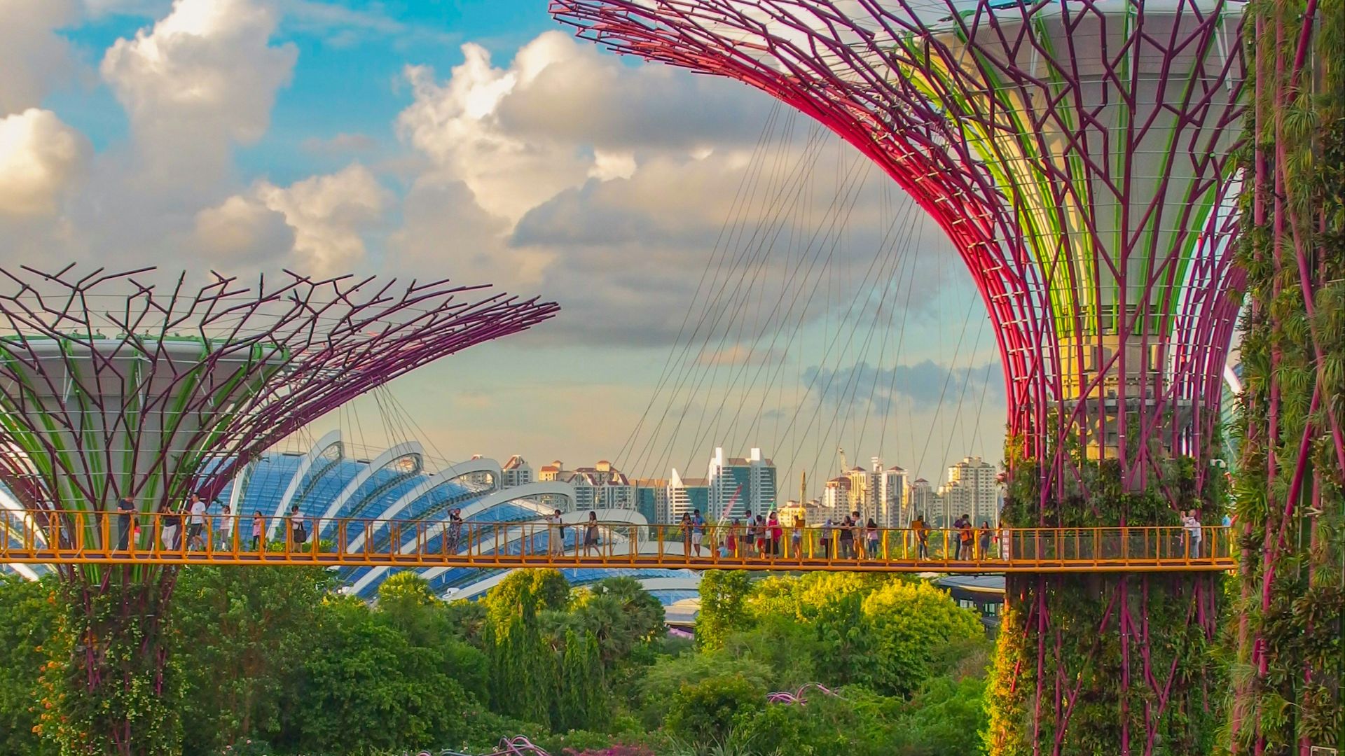 people crossing bridge