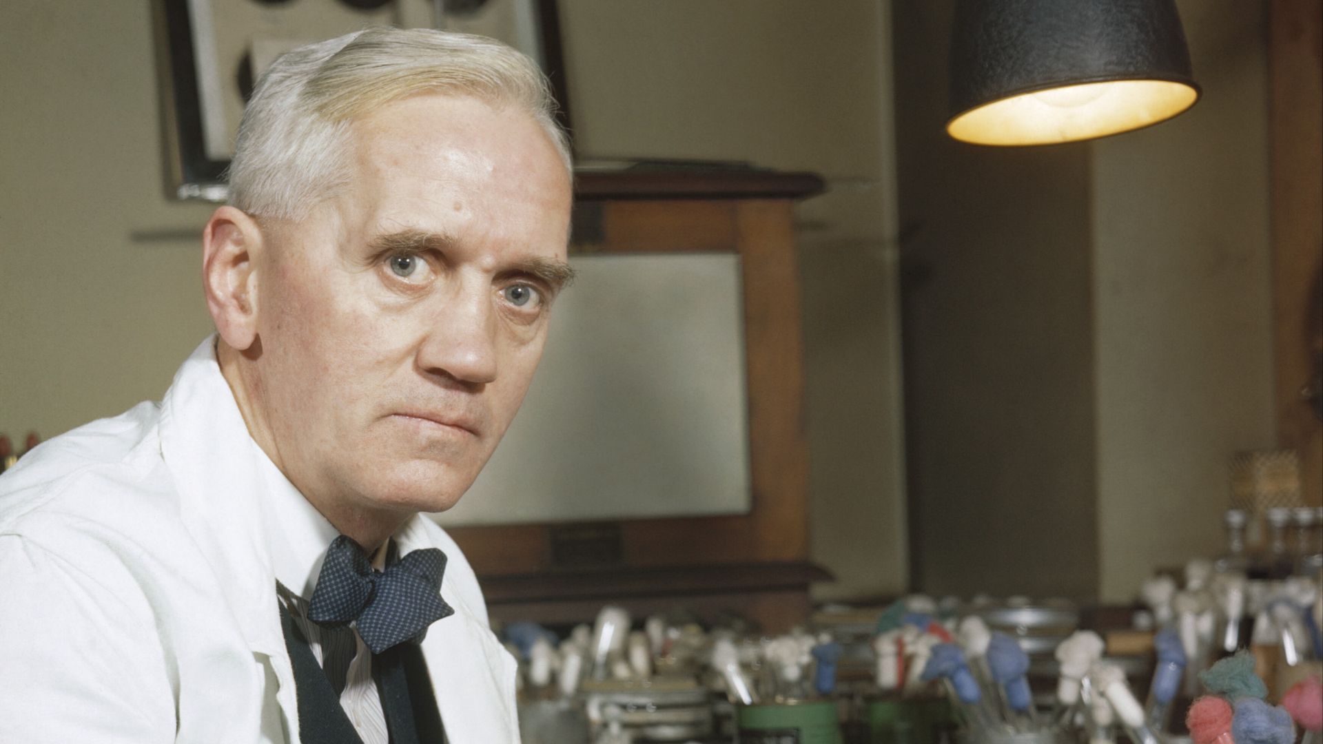 File:Synthetic Production of Penicillin TR1468.jpg