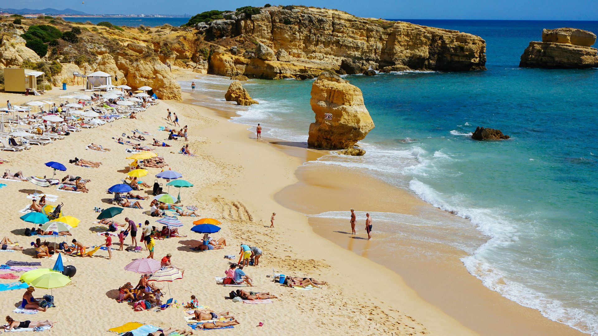 people sun bathing on beach