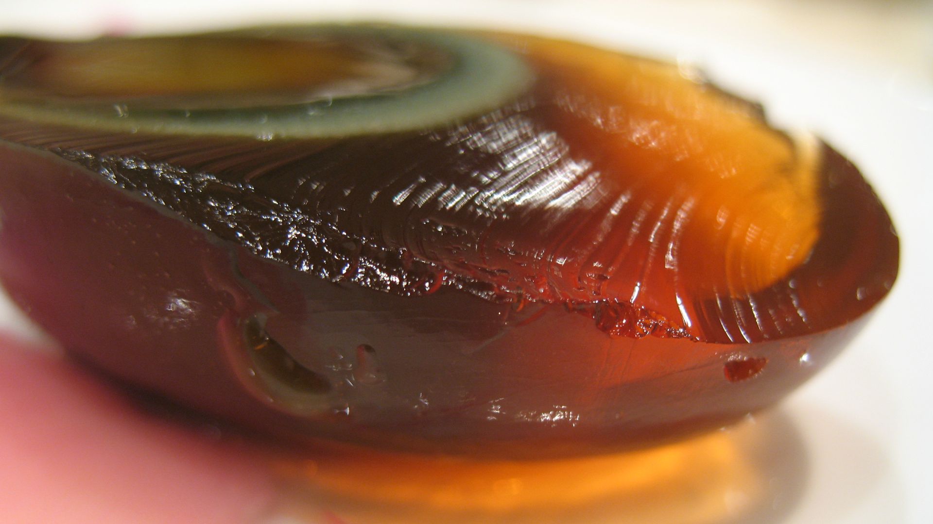 File:Preserved egg by denn.jpg