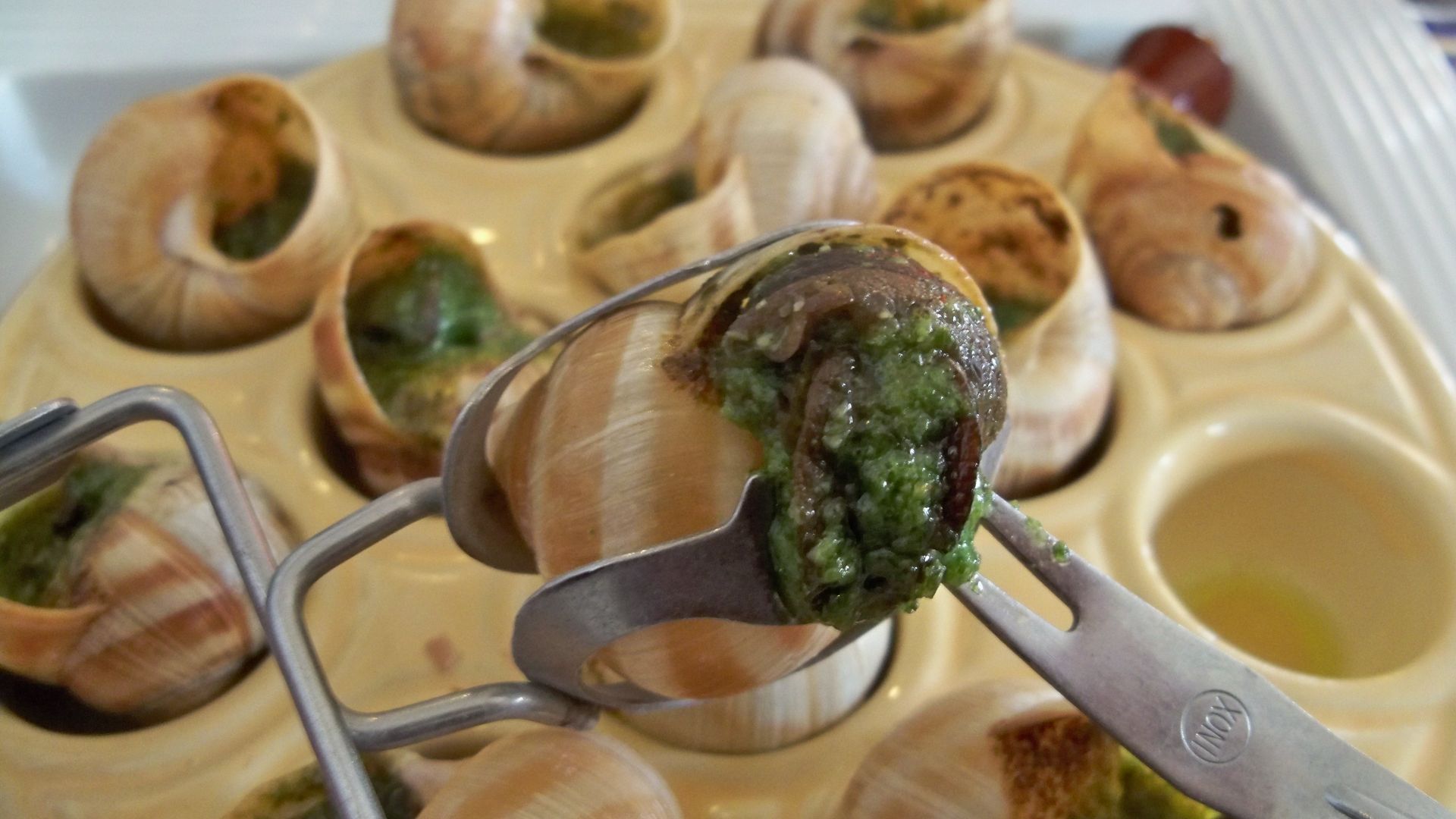 File:Escargots 3.jpg