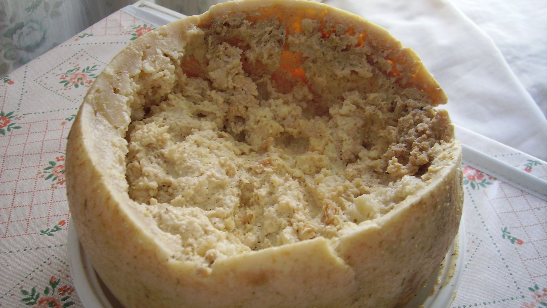 File:Casu Marzu cheese.jpg
