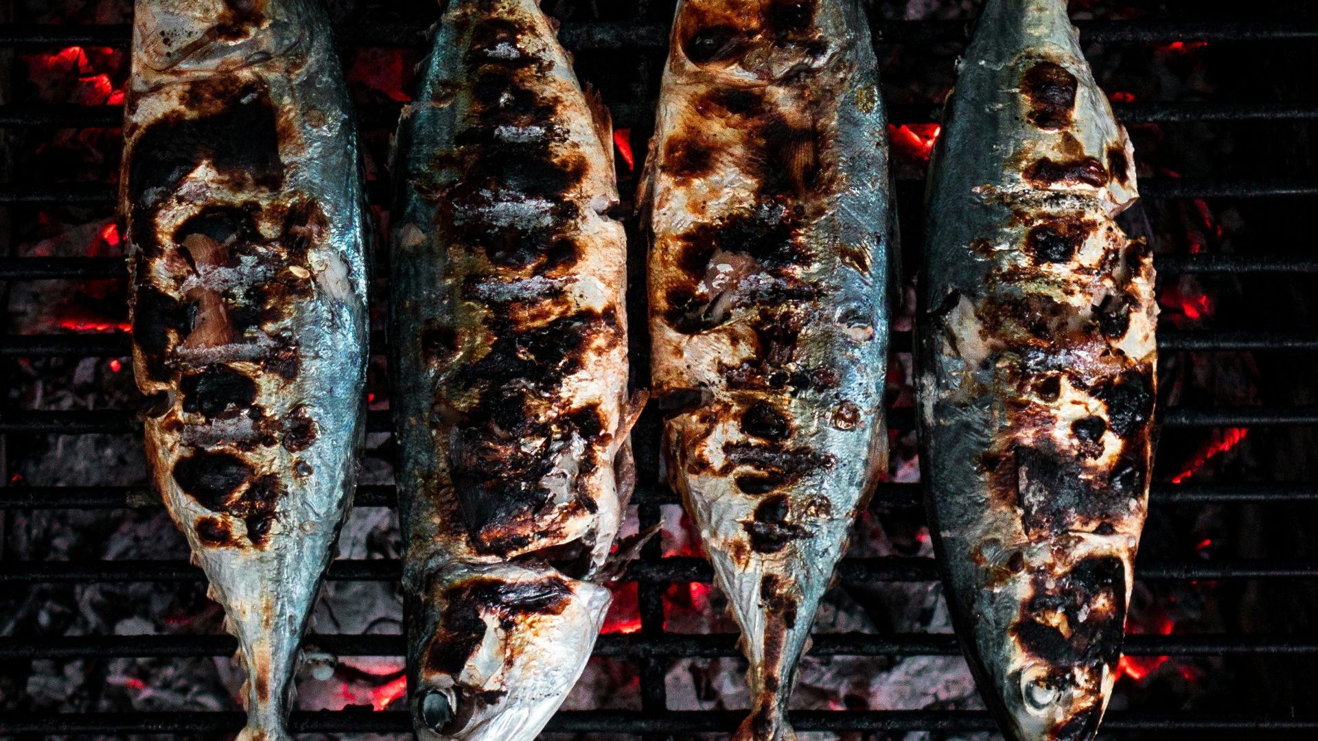fish being grilled