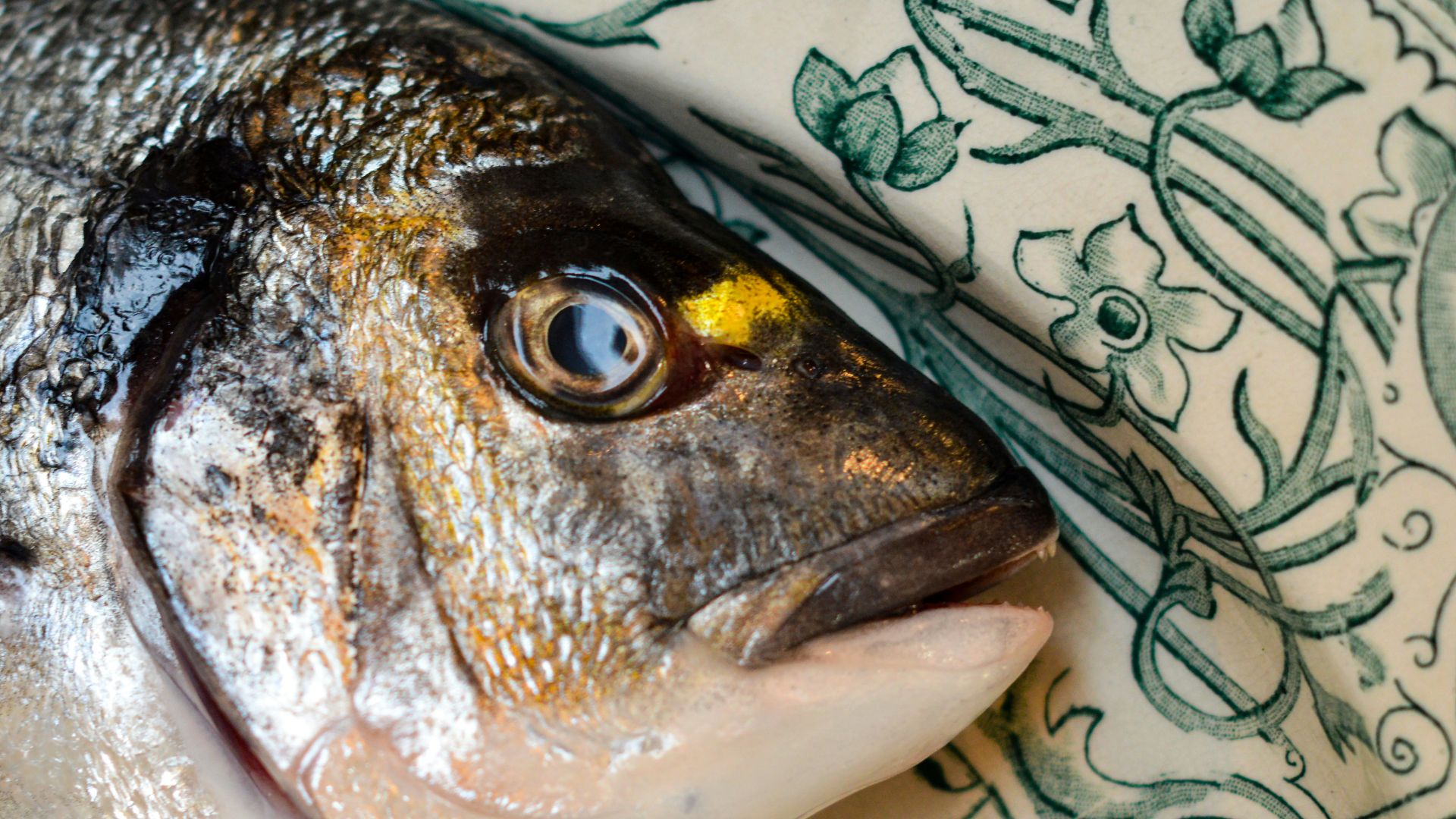 silver and black fish on white and green textile
