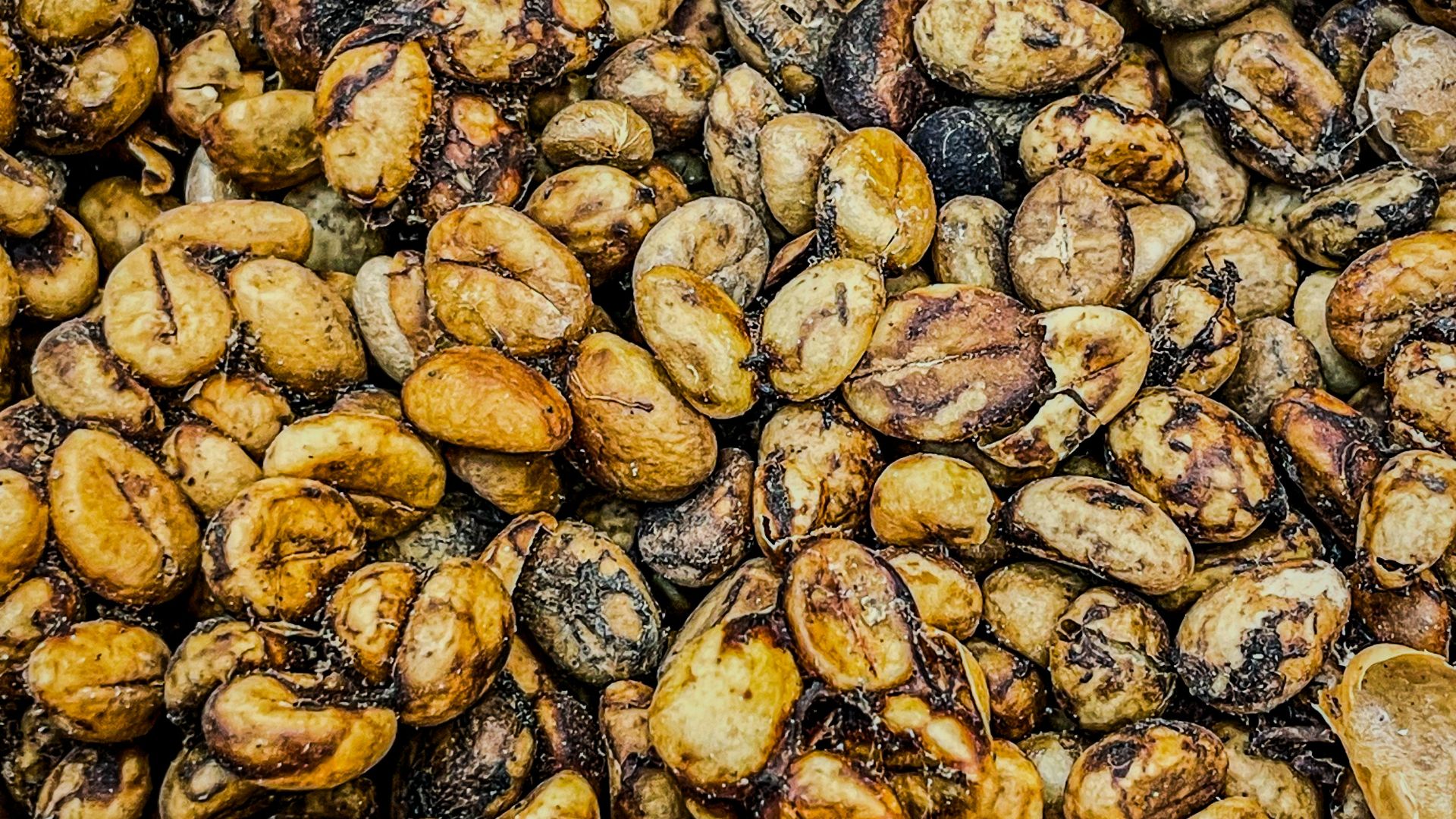 A close up of a bunch of nuts