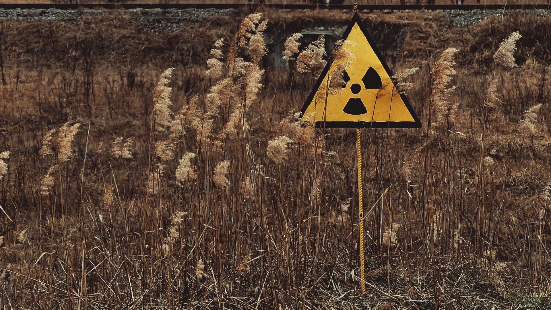 yellow and black house on brown grass field