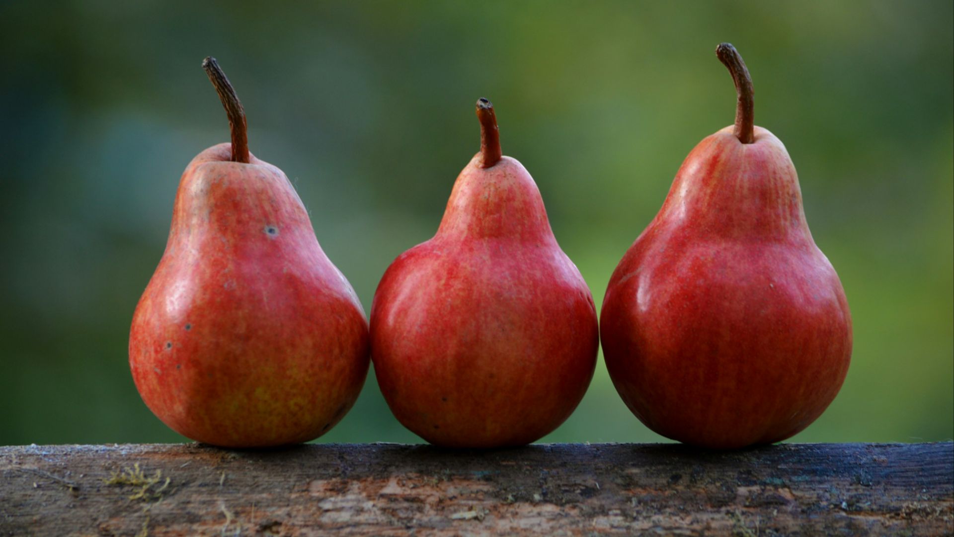 three red pear fruits
