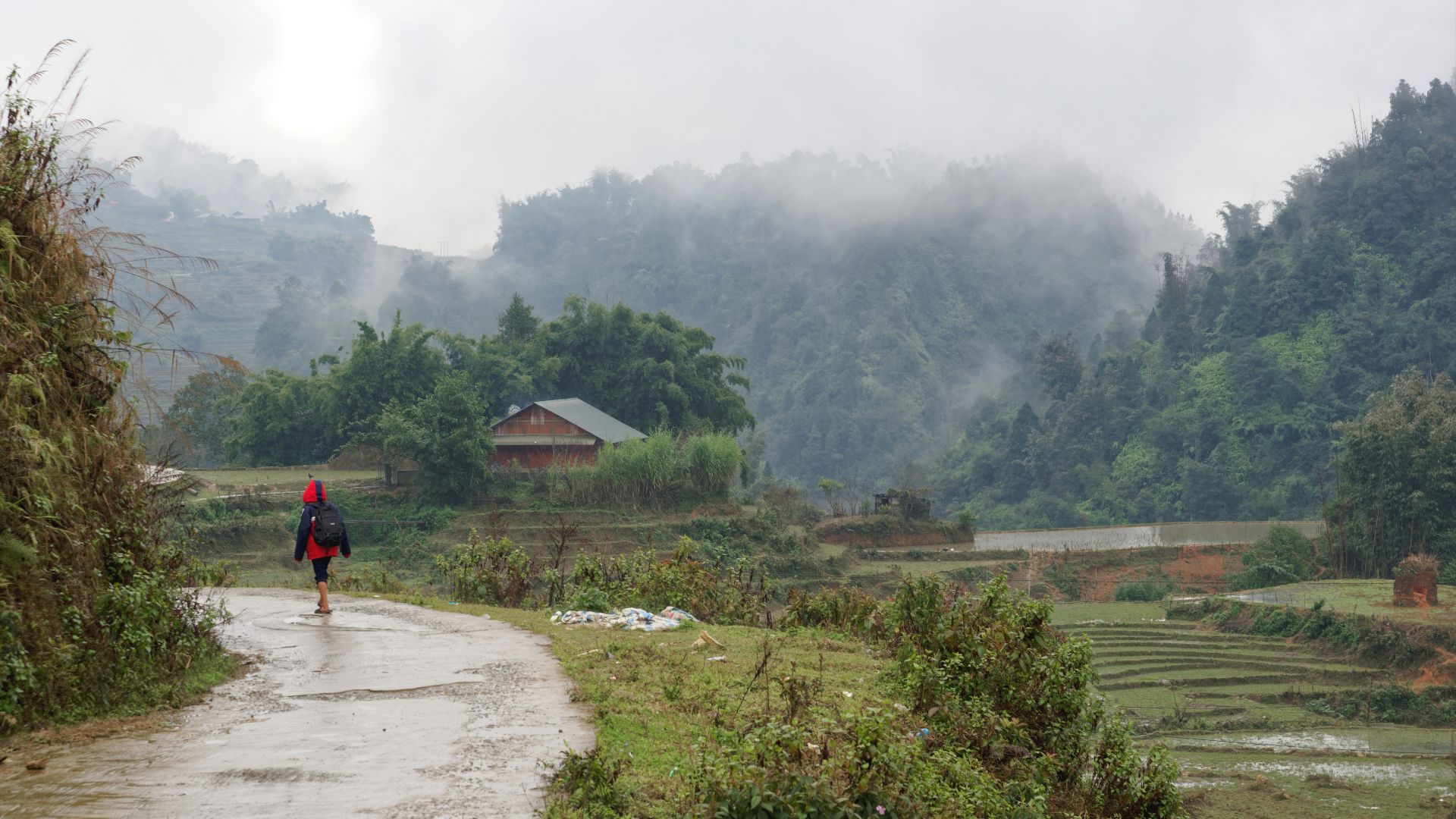 File:Road and paddy fields in Sa Pa, Vietnam, 20240126 1202 3586.jpg
