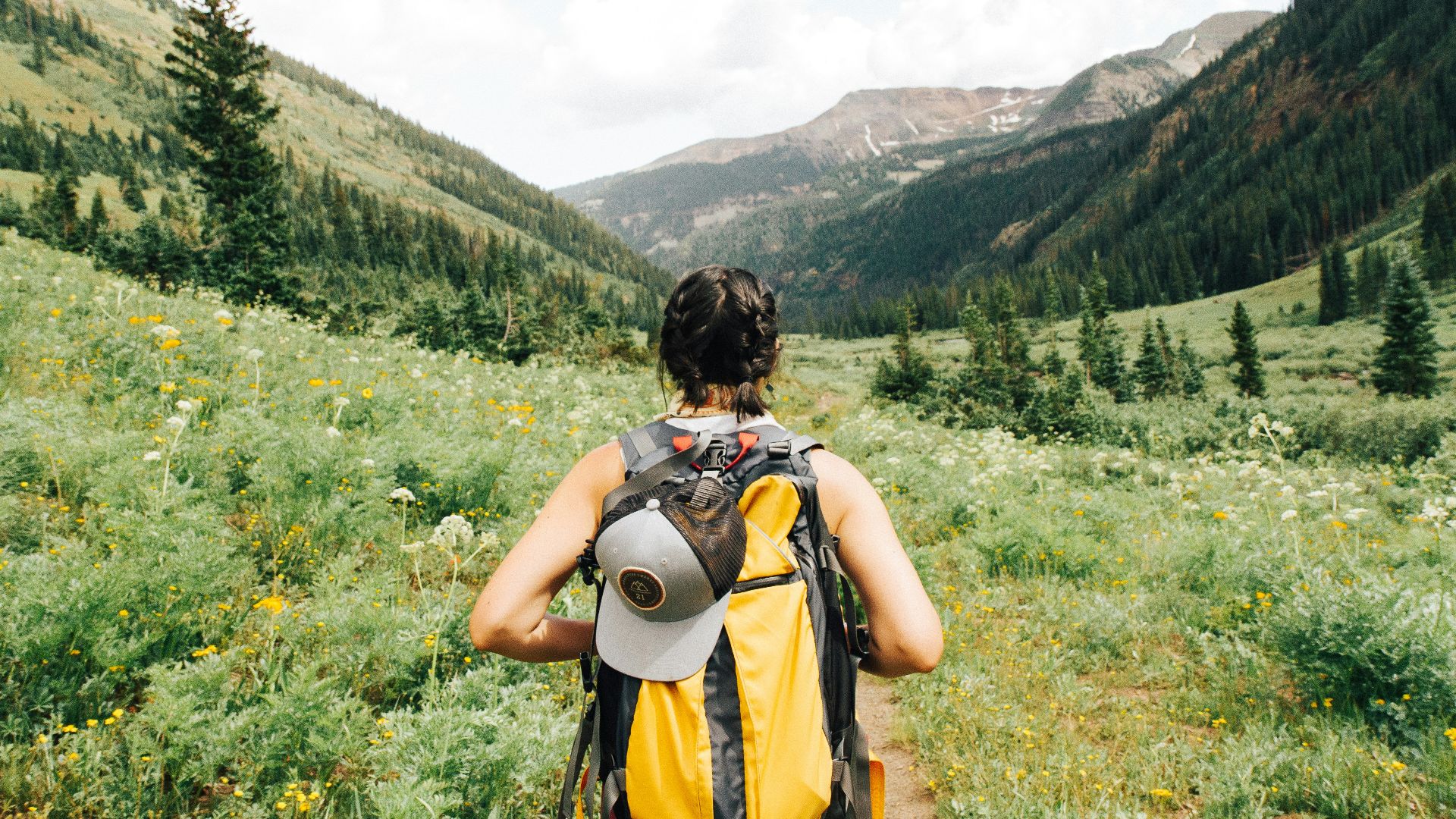 person carrying yellow and black backpack walking between green plants