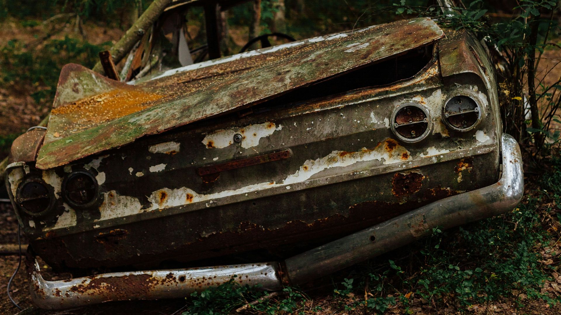 a rusted out car sitting in the middle of a forest