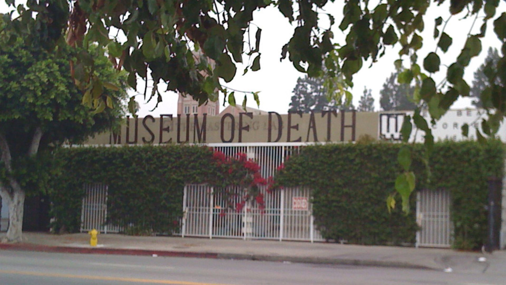 File:Museum of Death in Hollywood.jpg