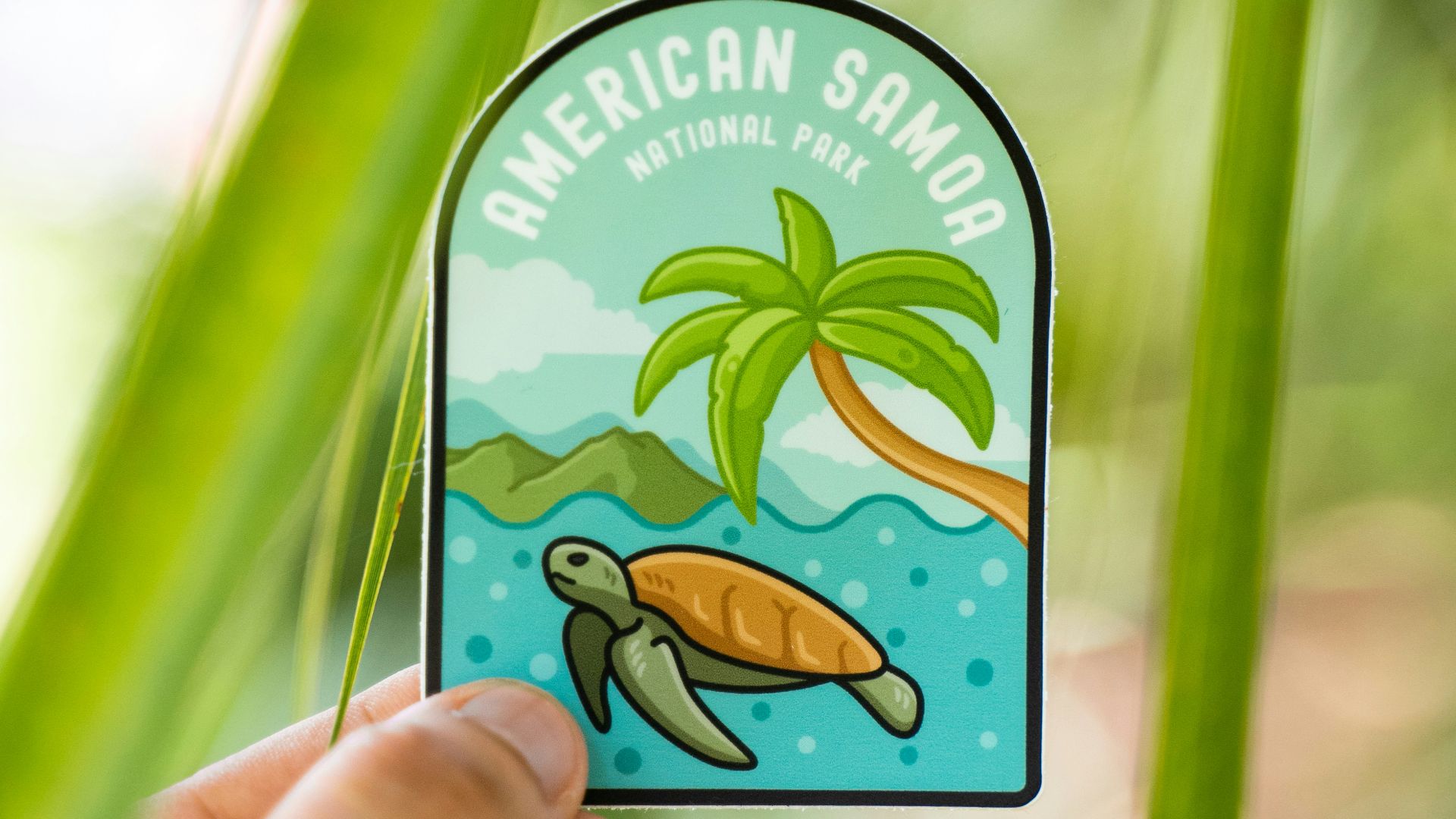 a hand holding a sticker with a picture of a turtle