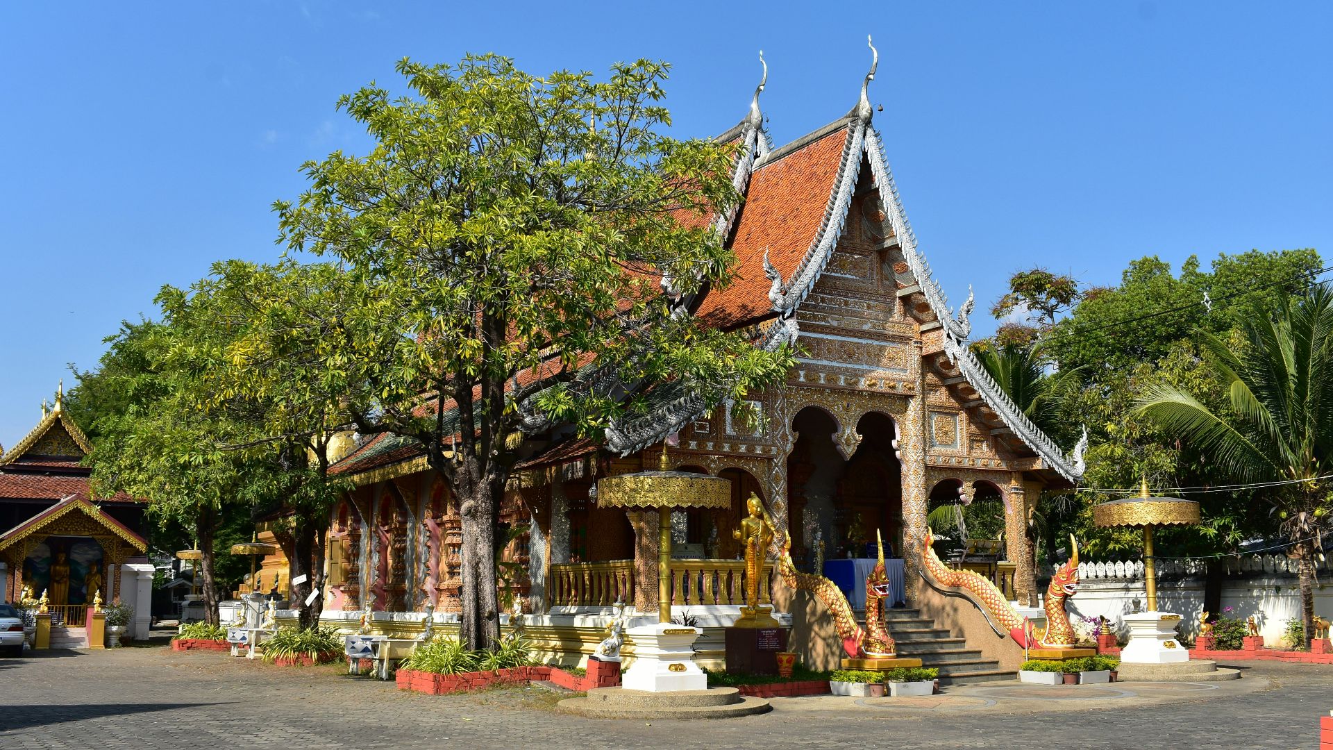 a small building with a lot of trees around it