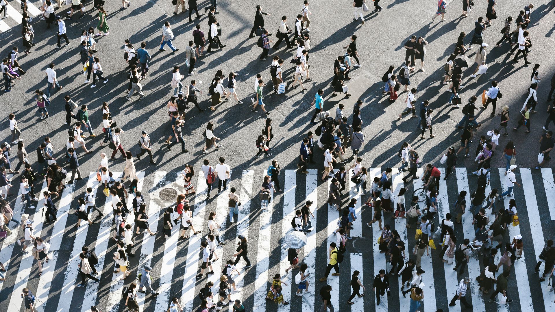 aerial view of people walking on raod