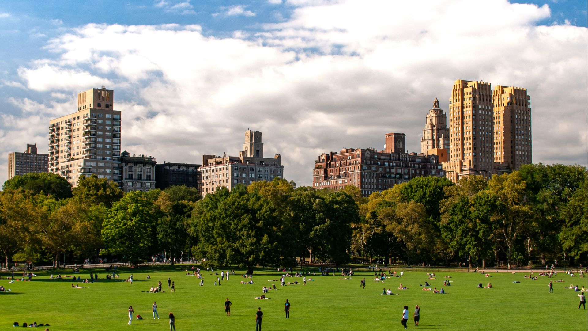 people playing soccer on green grass field during daytime