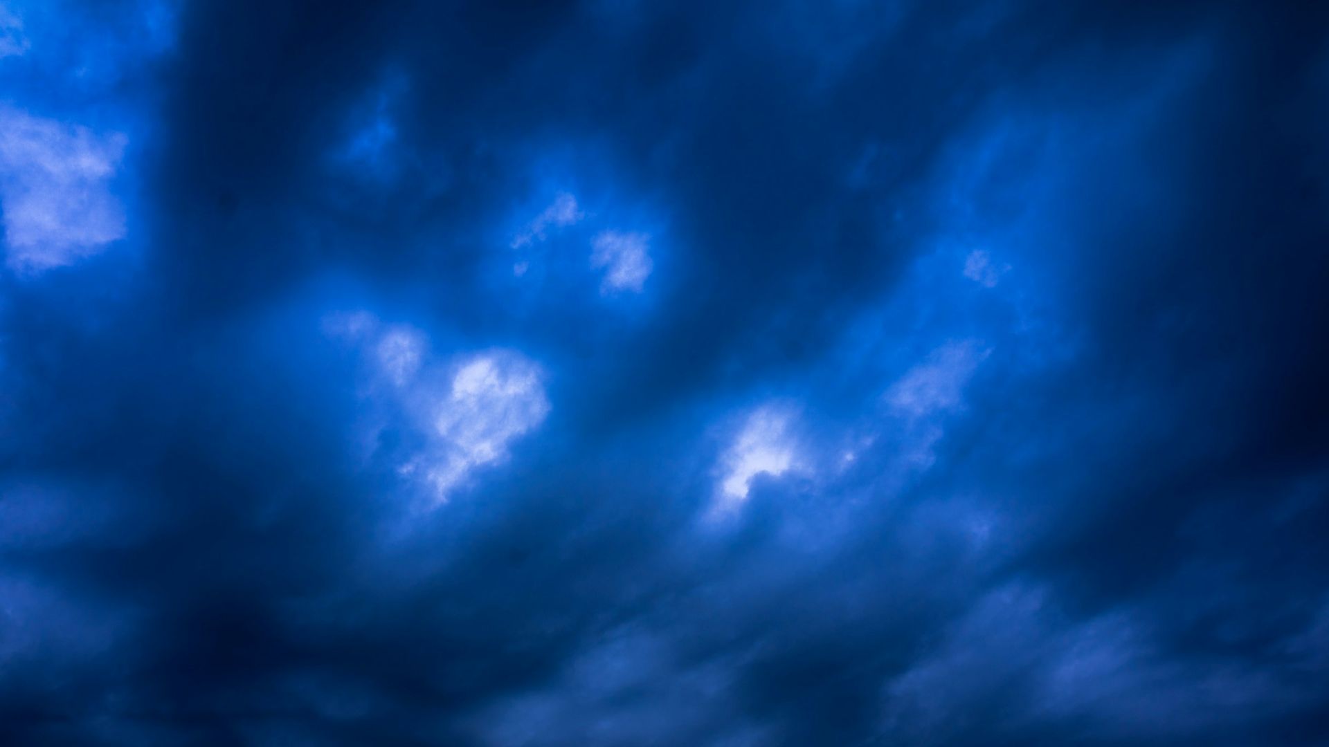 silhouette of trees under blue sky