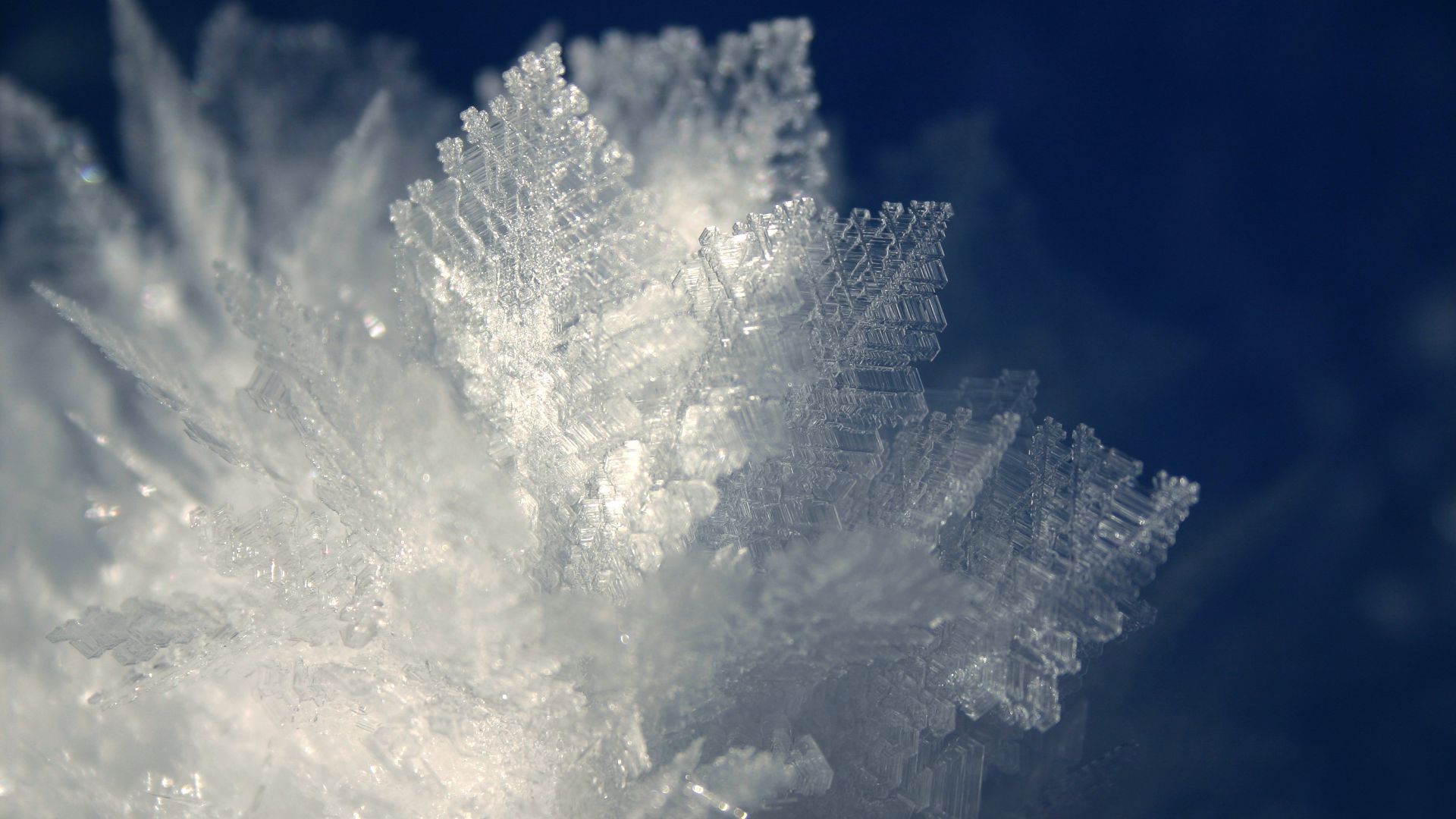 File:Fleur de givre L.jpg