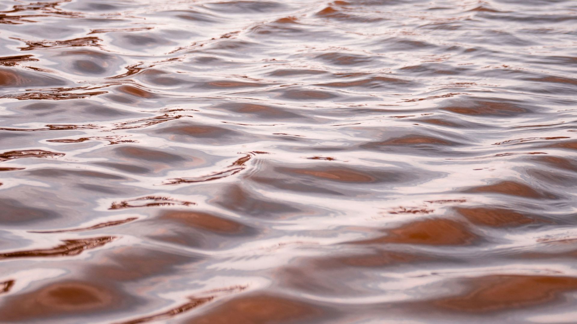 focus photo of body of water