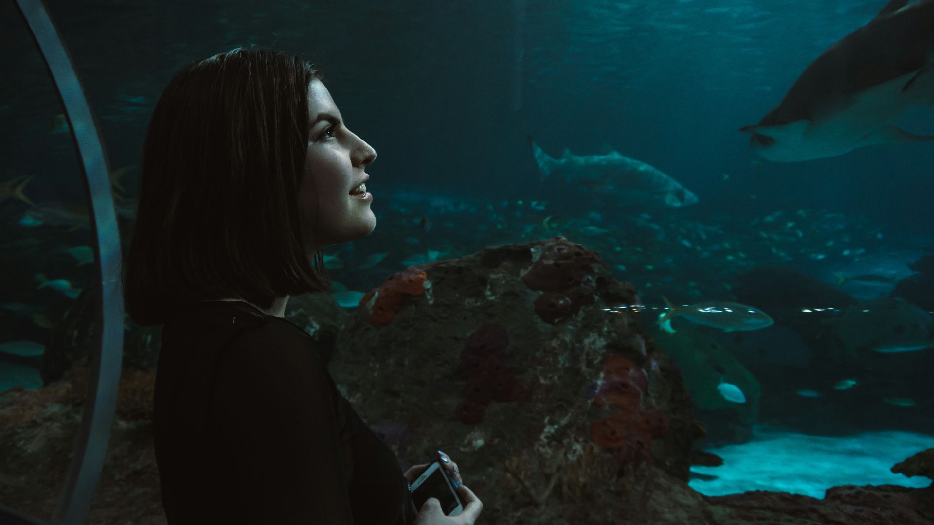 woman wearing black long-sleeved shirt facing the aquarium