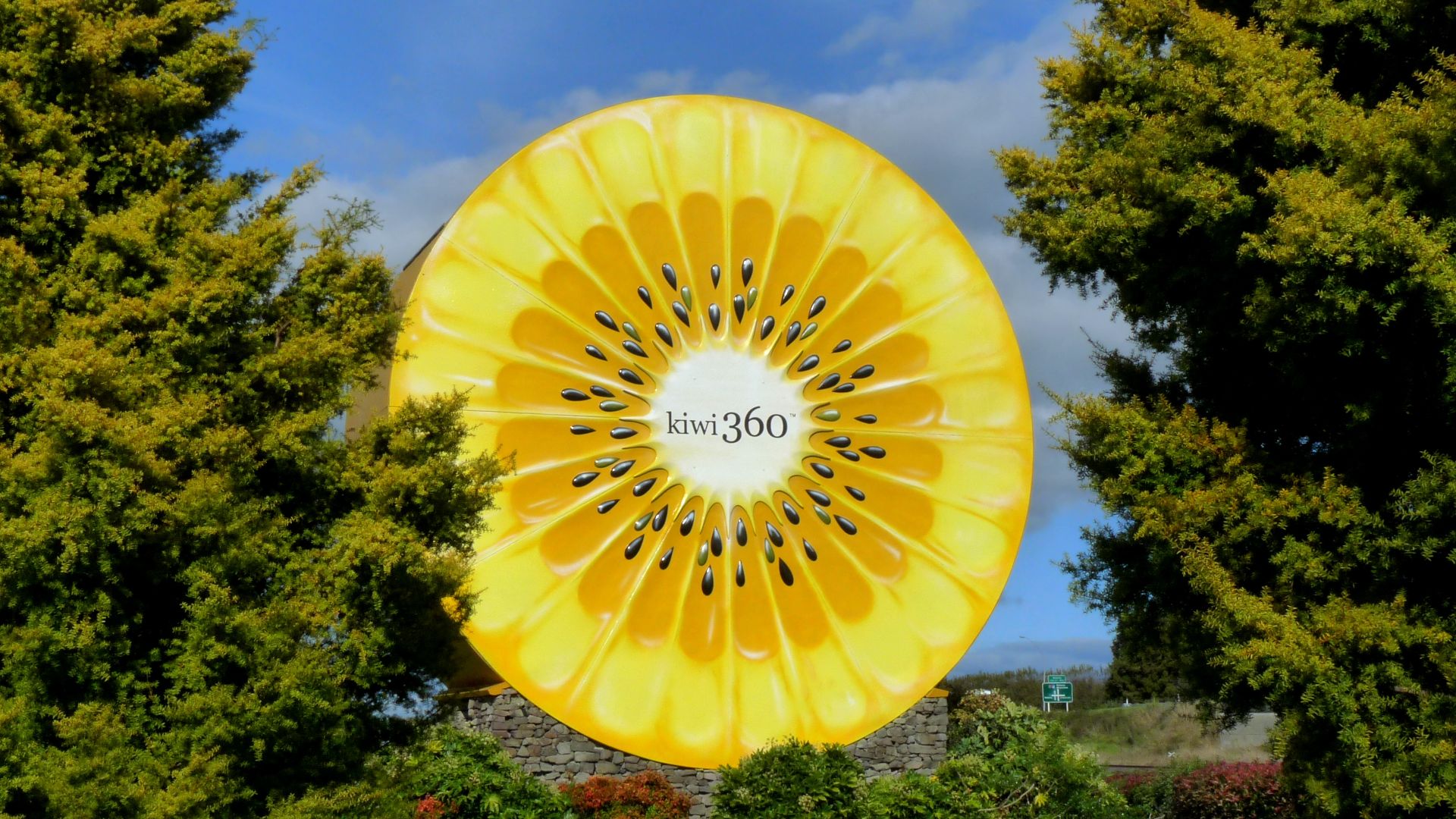 File:Kiwi360 Yellow.JPG