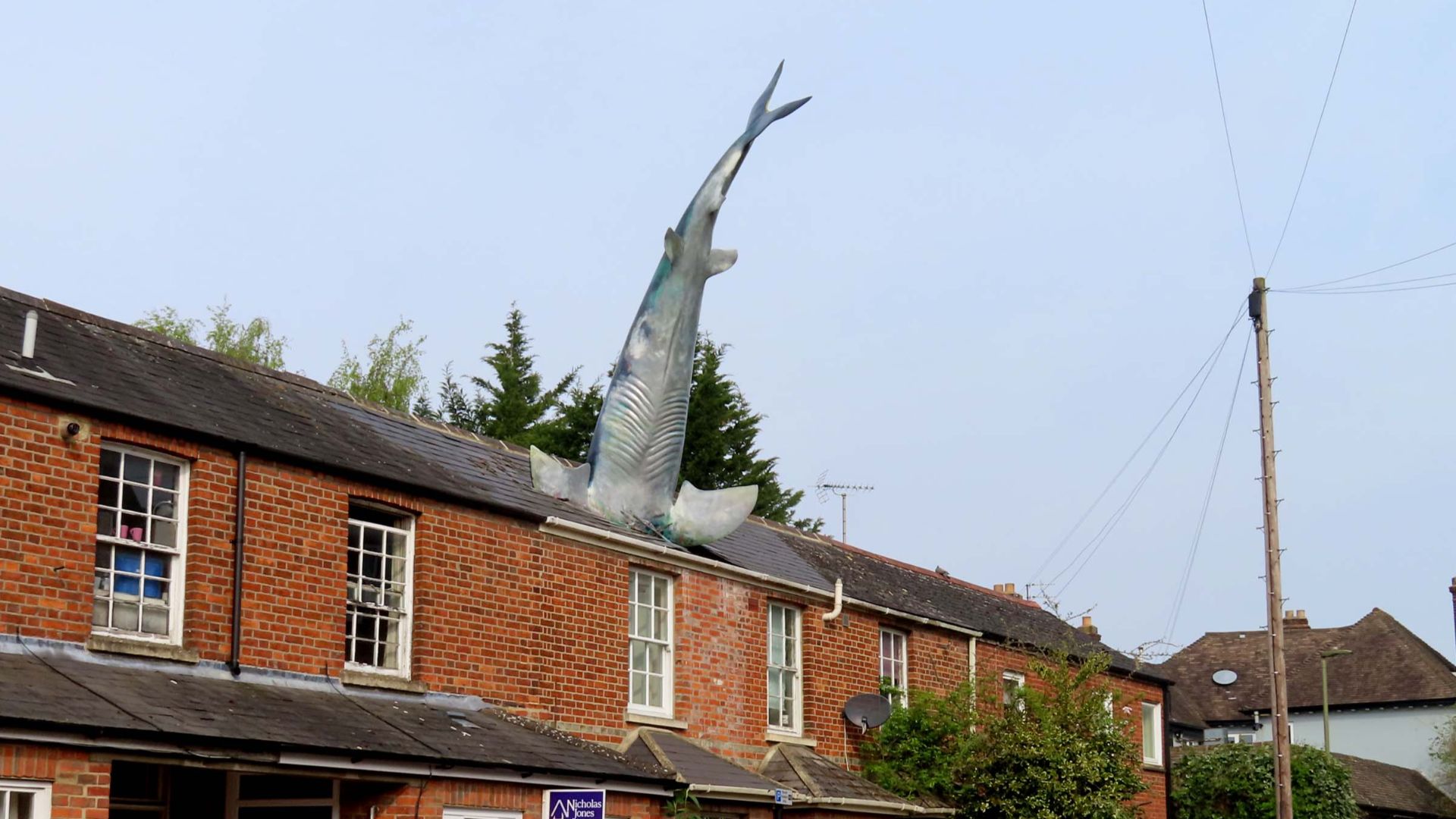 File:The Headington Shark in New High Street - geograph.org.uk - 6124611.jpg