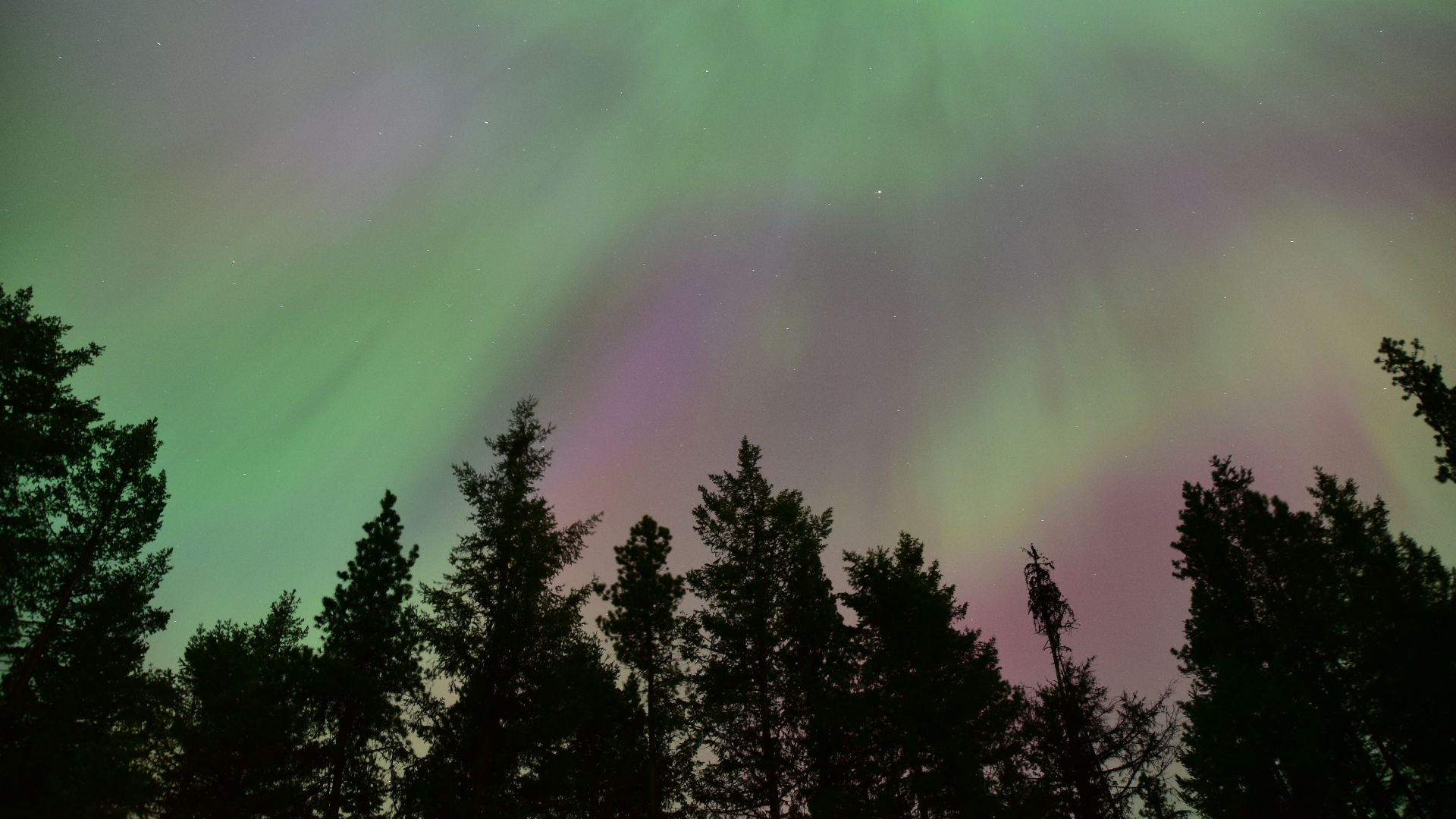 A green and purple aurora bore in the sky