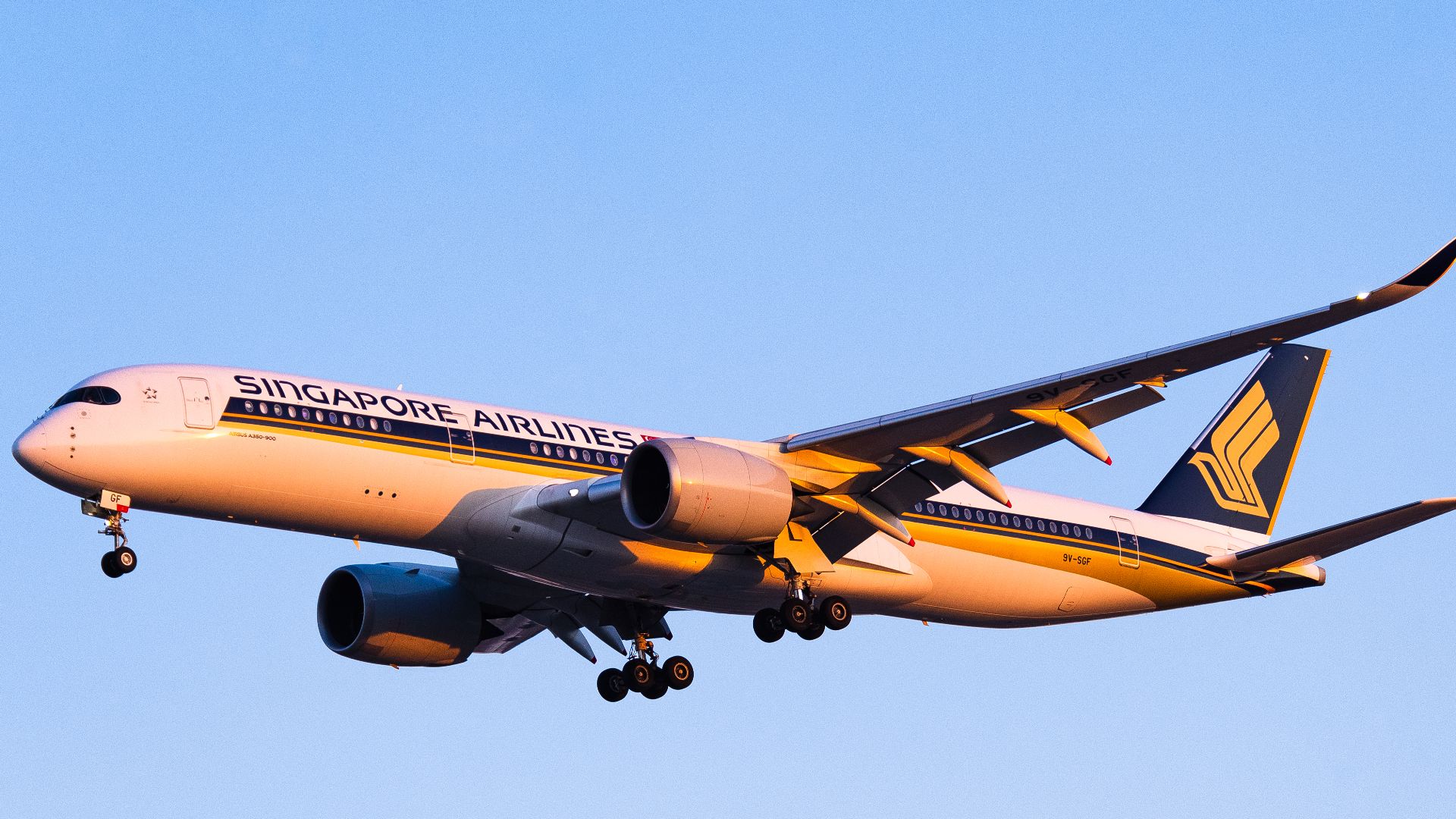 File:9V-SGF@PEK (20220203171924).jpg