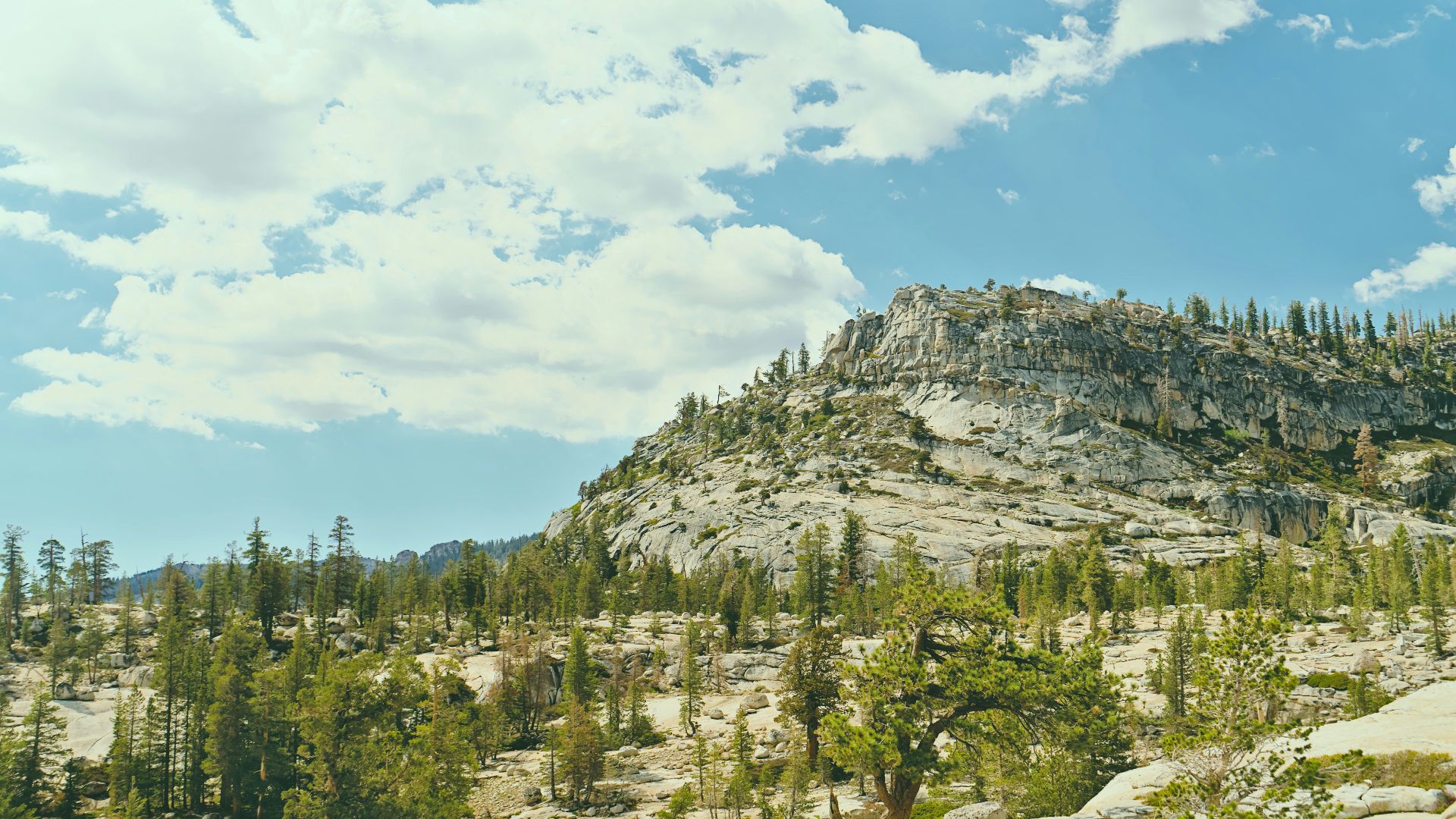 a mountain with trees and rocks under a cloudy blue sky