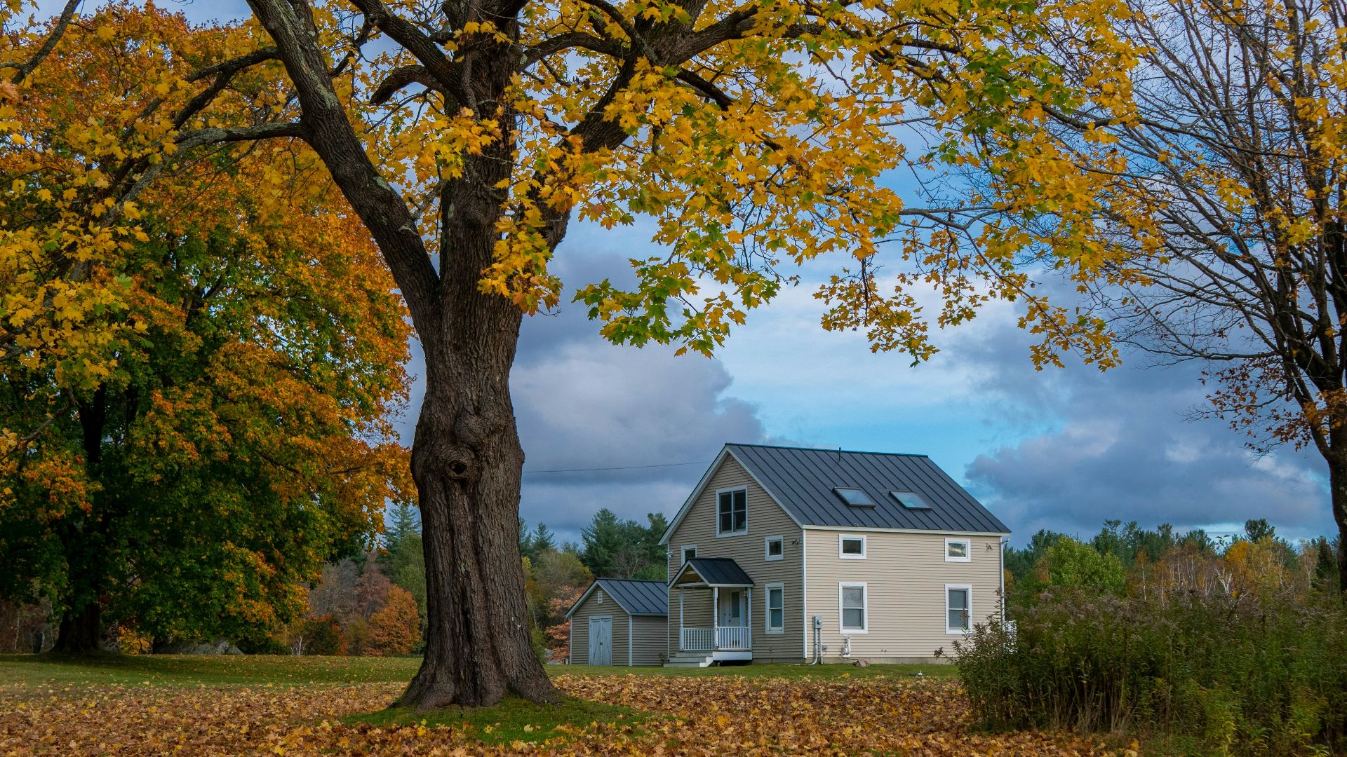 a white house surrounded by trees and leaves