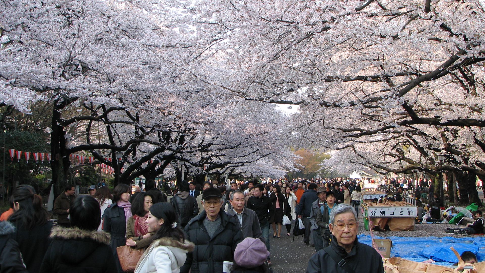 File:Ueno park.jpg