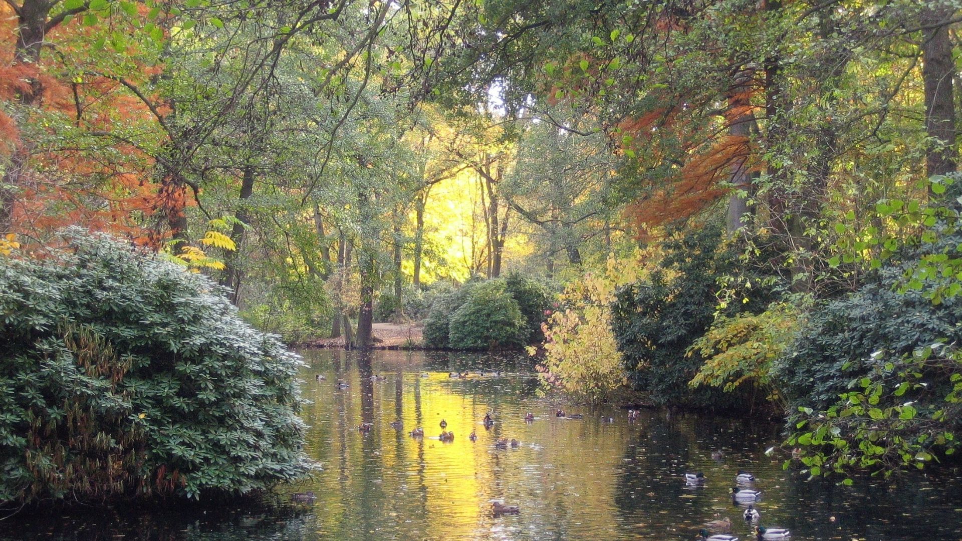 File:Berlin Tiergarten4.jpg