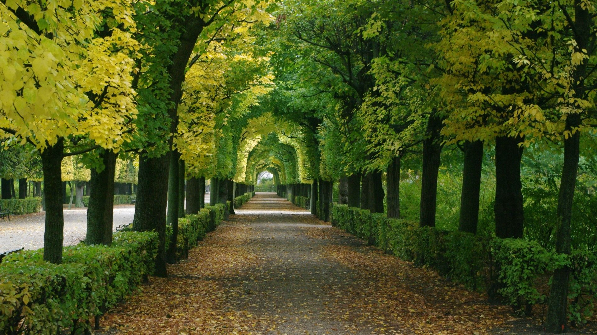 File:Autumn in Schoenbrunn - Schöbrunn'da Sonbahar 04.JPG