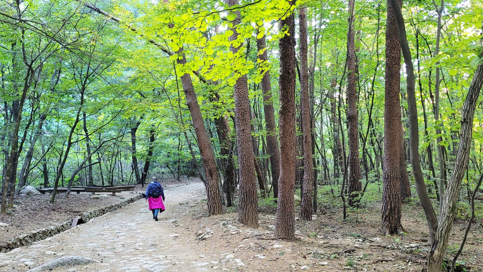 File:Seoraksan National Park 05.jpg