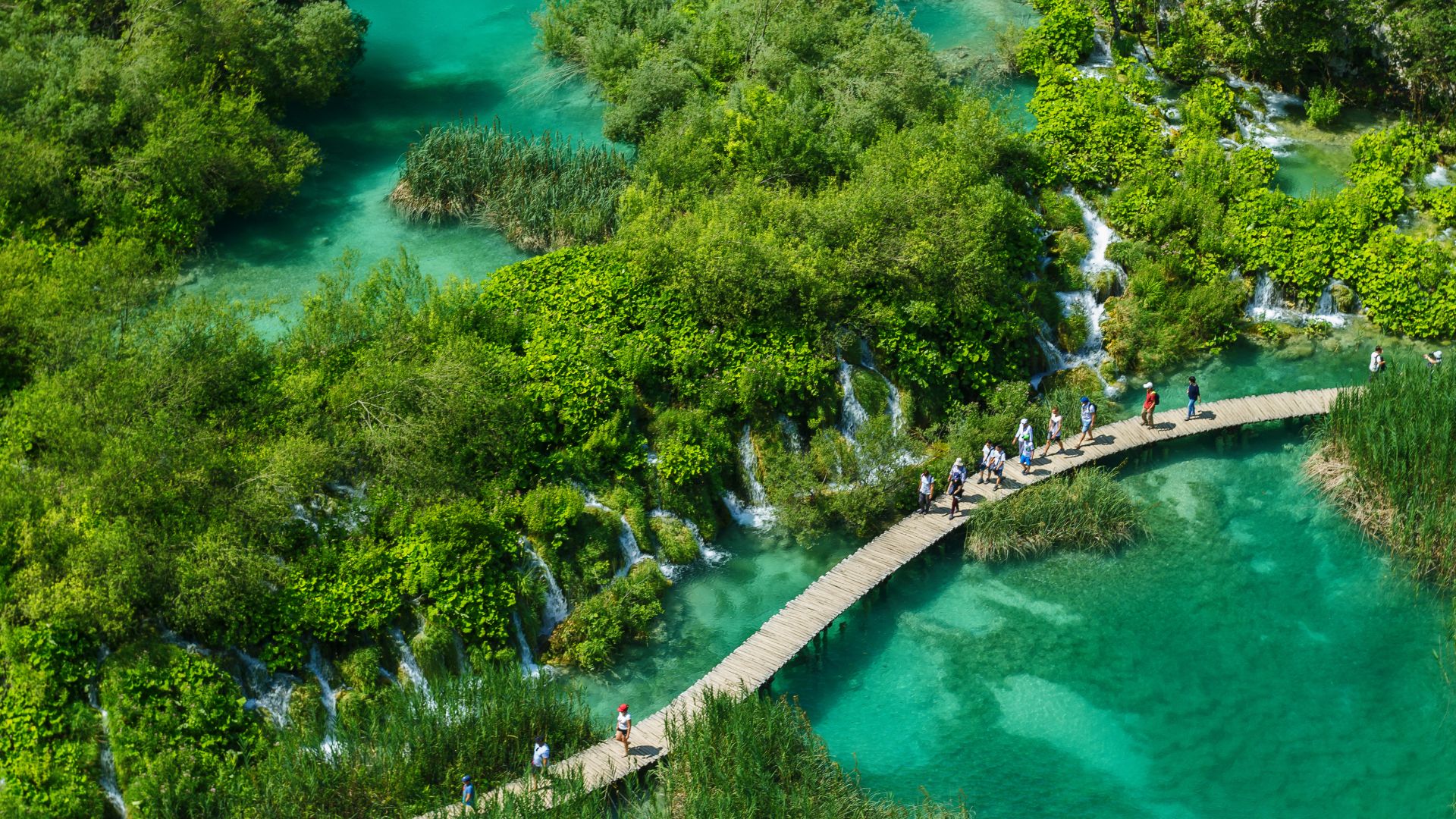 File:View of the path in the canyon.jpg