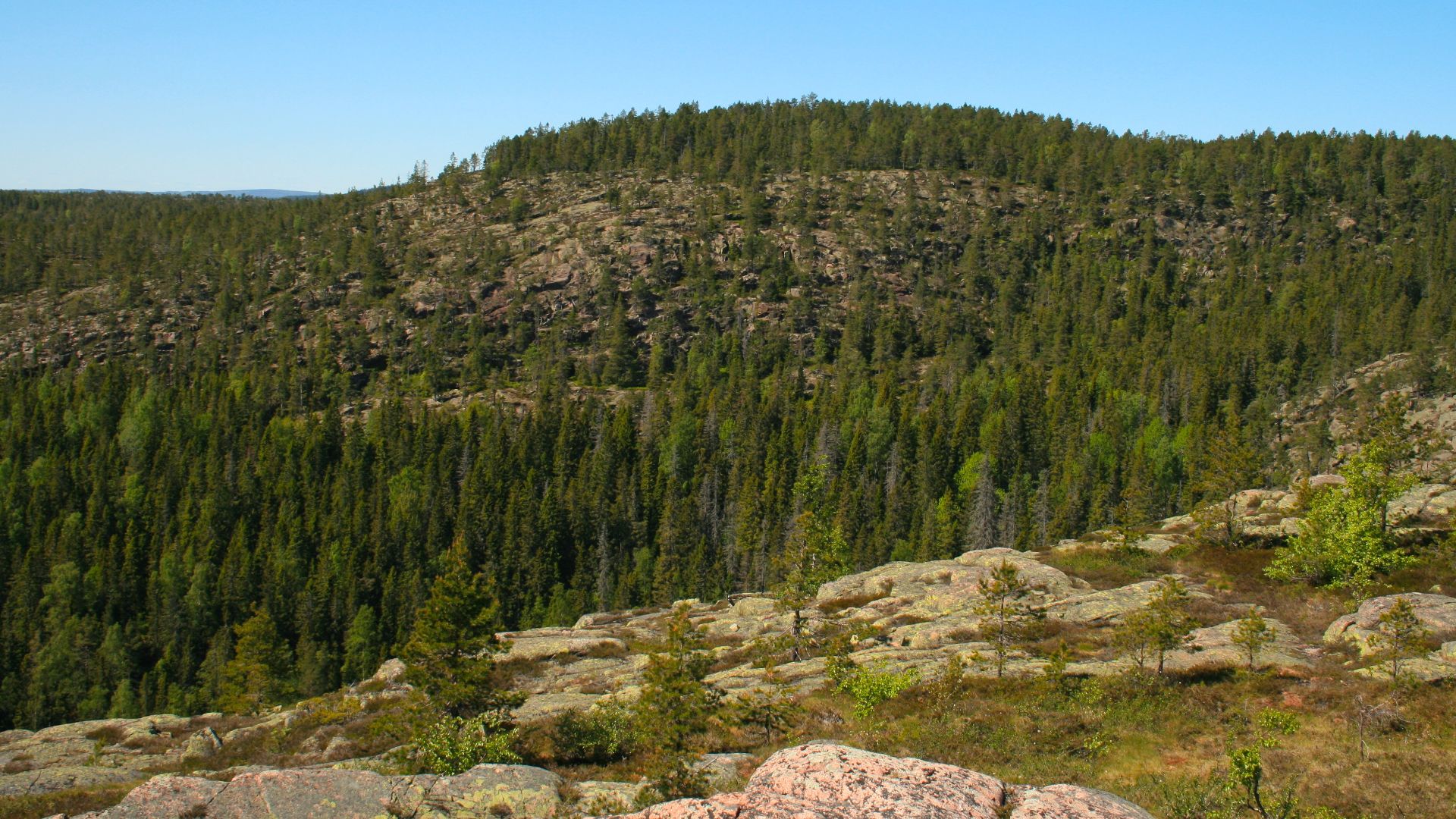 File:Skuleskogen Kalottberg.jpg