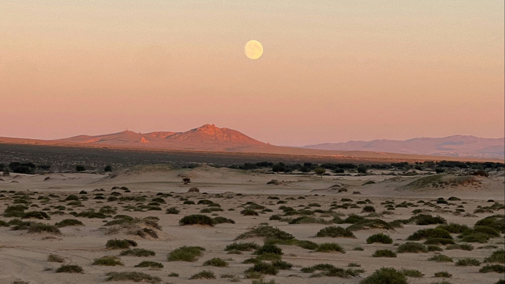 The moon is setting in the sky over the desert