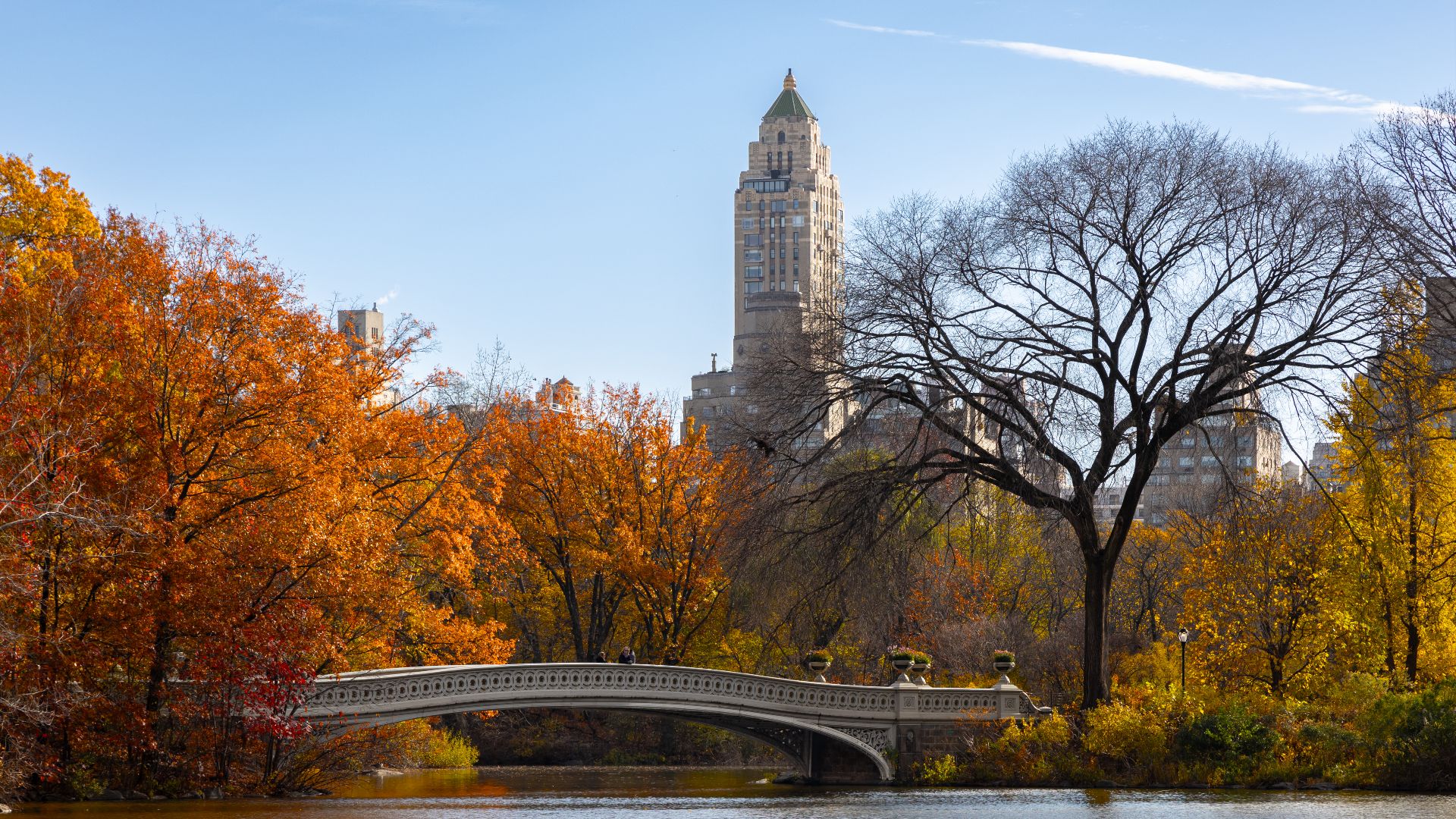 File:2024-11-19-Bow Bridge (Central Park)-0644.jpg
