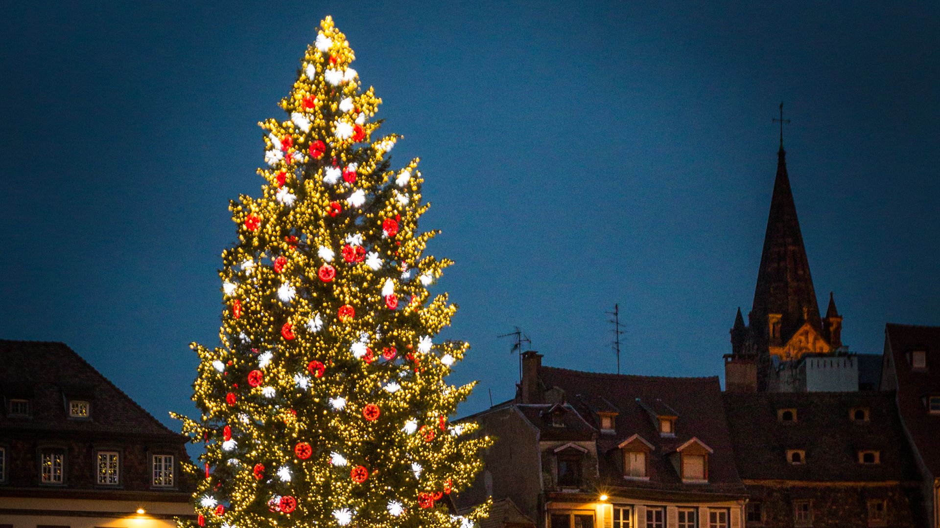 File:Strasbourg capitale de Noël grand sapin 2014 02.jpg