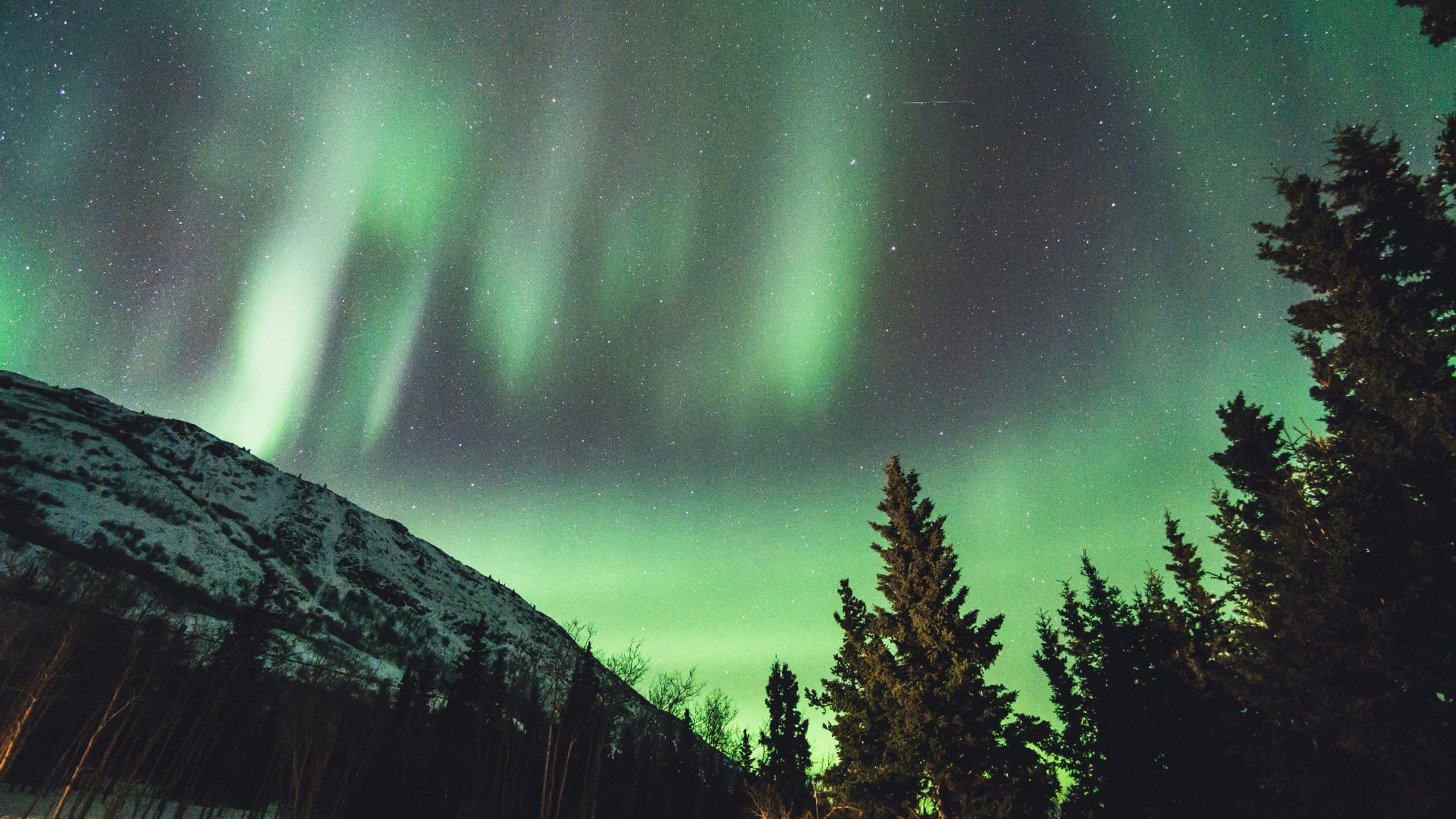 Northern Lights wallpaper