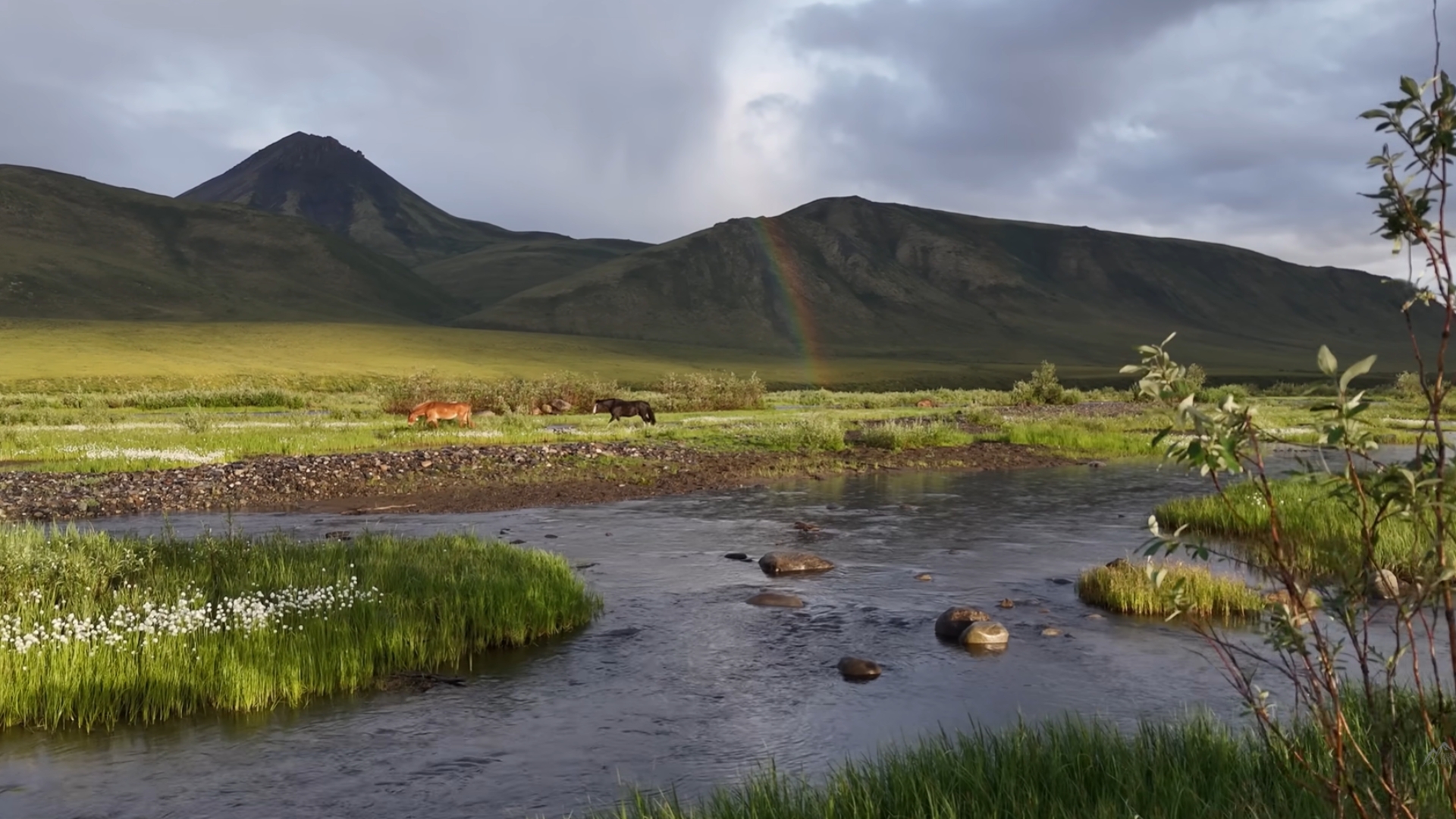 Canadian Arctic Circle Adventure