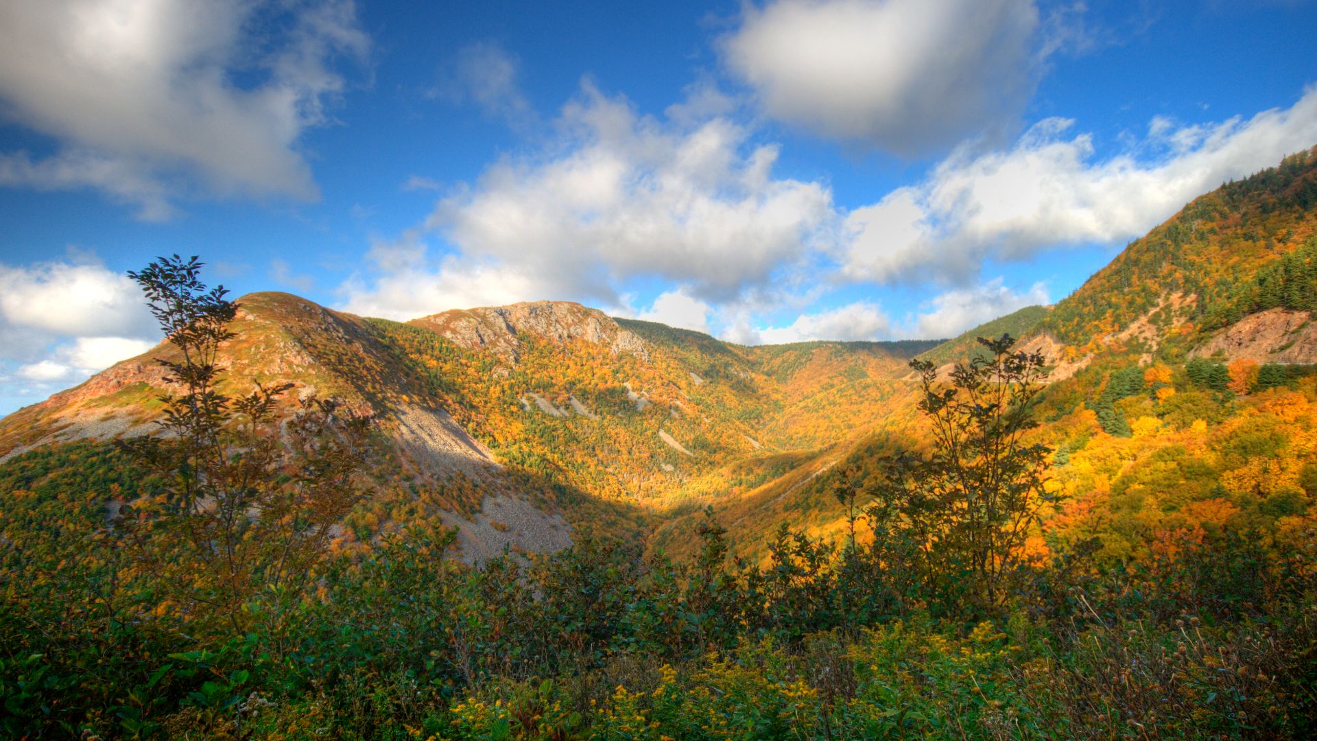 File:Montagne au Cap-Breton.jpg