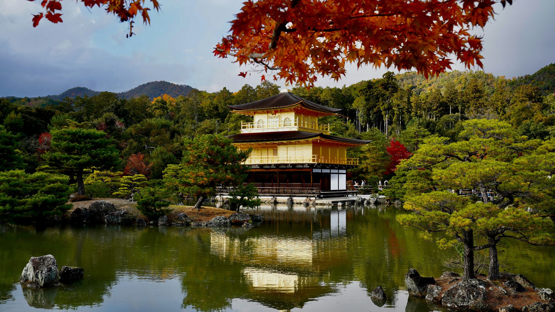 A pond surrounded by trees with a building in the background