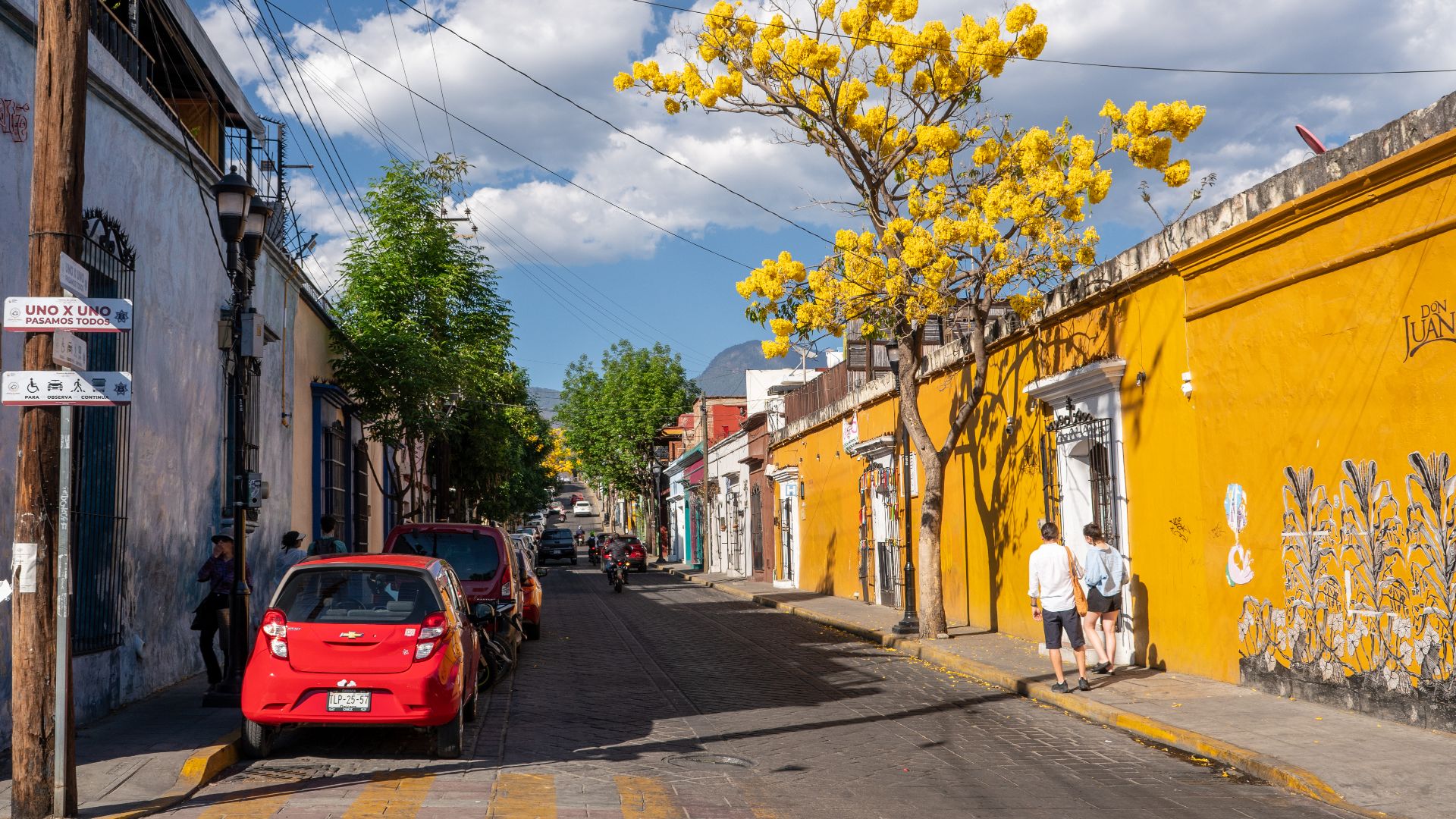 File:Yellow Building with a Yellow Tree - Oaxaca de Juárez 2023.jpg
