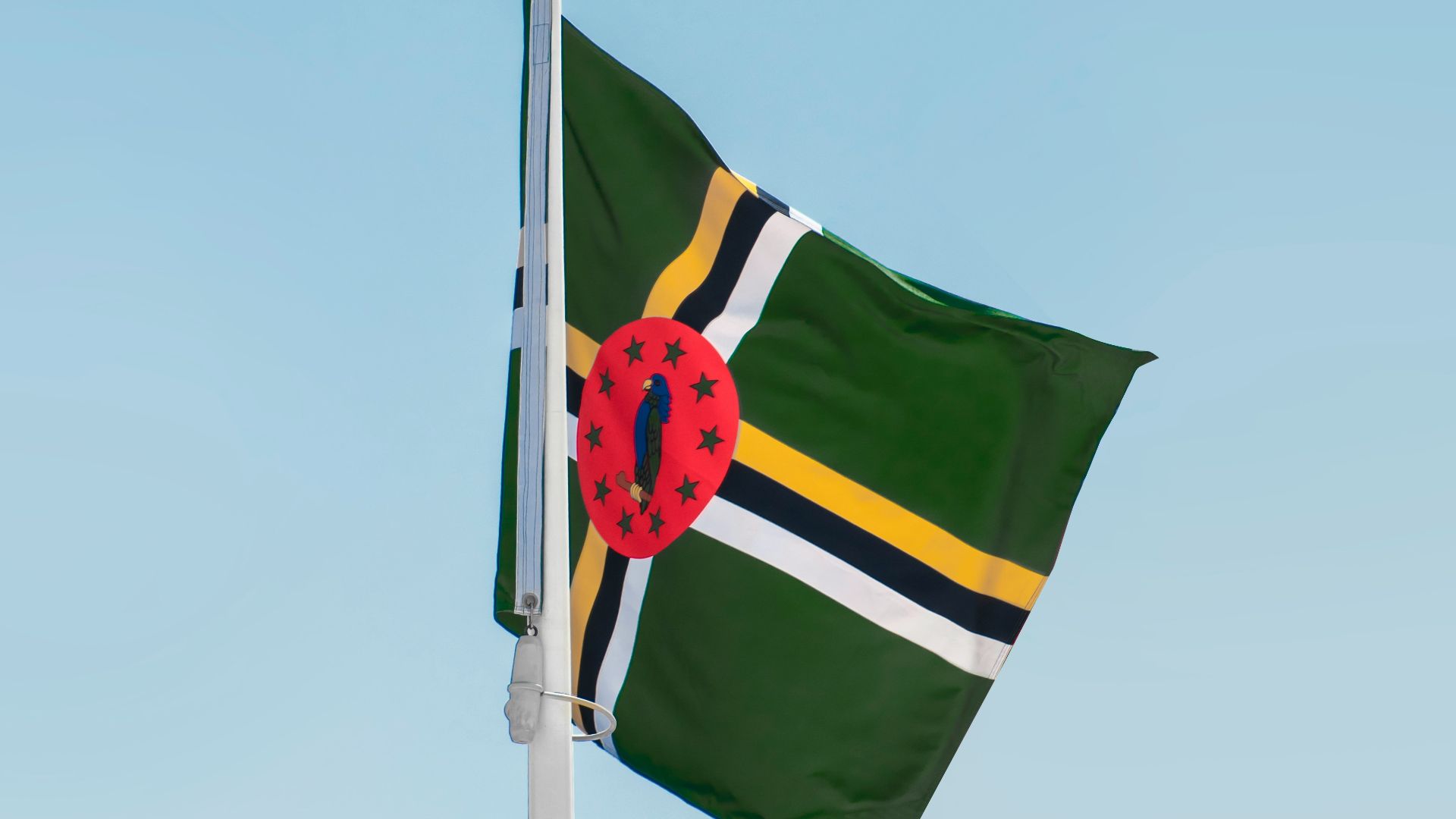 a flag on a pole